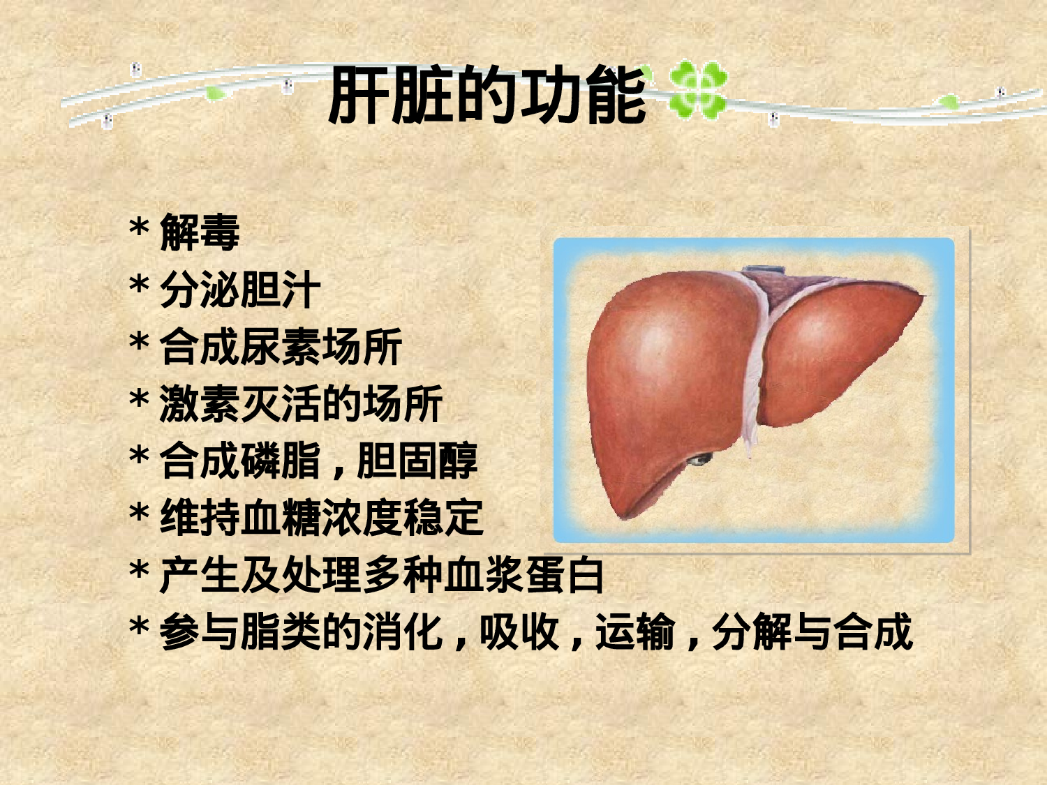 【yy】医疗护士 (47).pptx 第3页