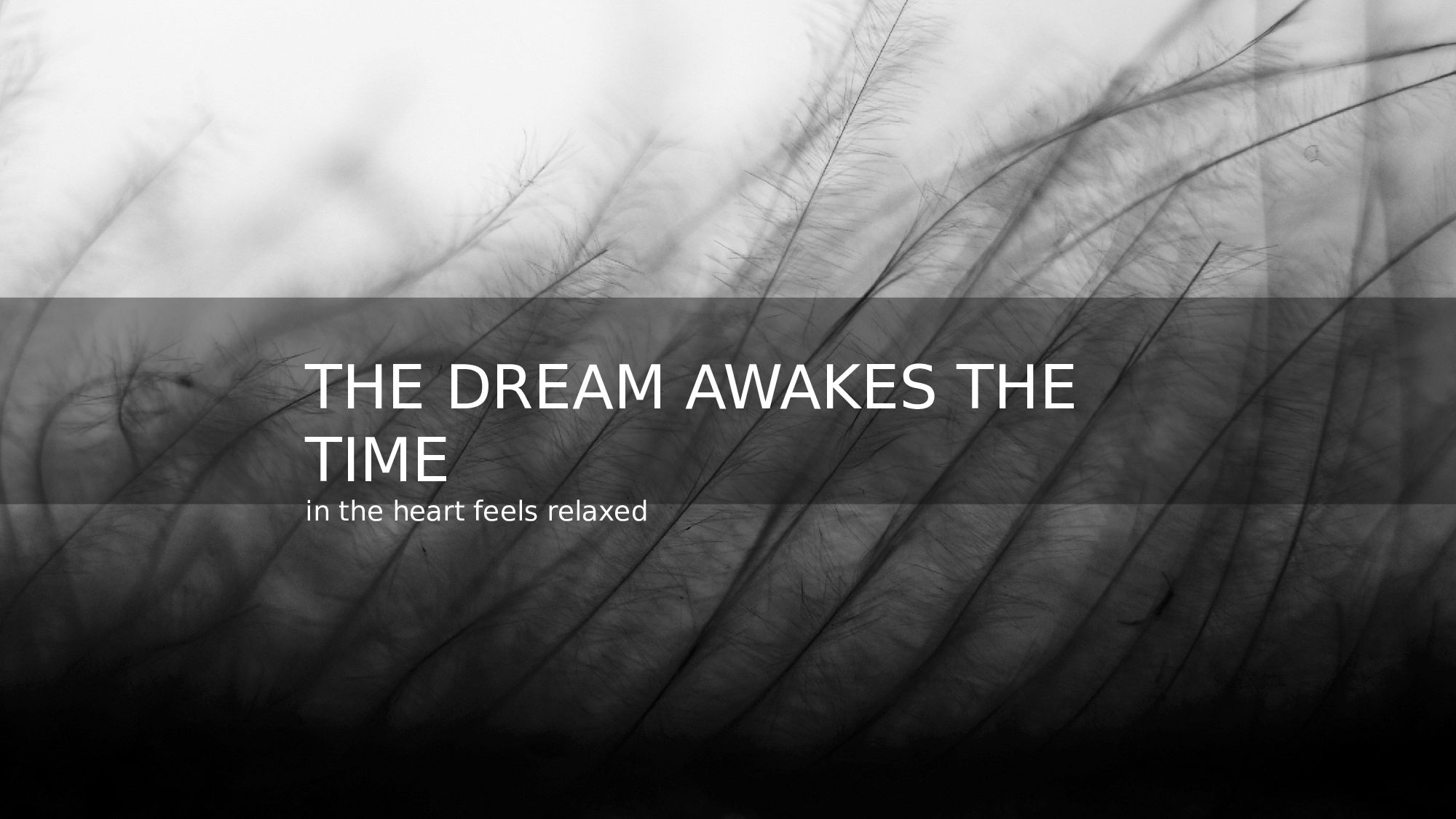 商务编号 (4)16.pptx 第1页