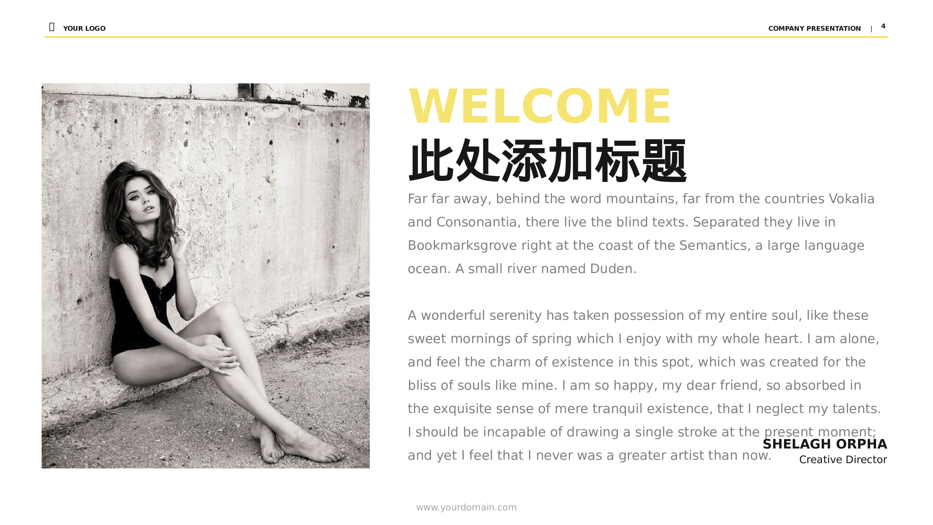 商务编号（11）23.pptx 第4页