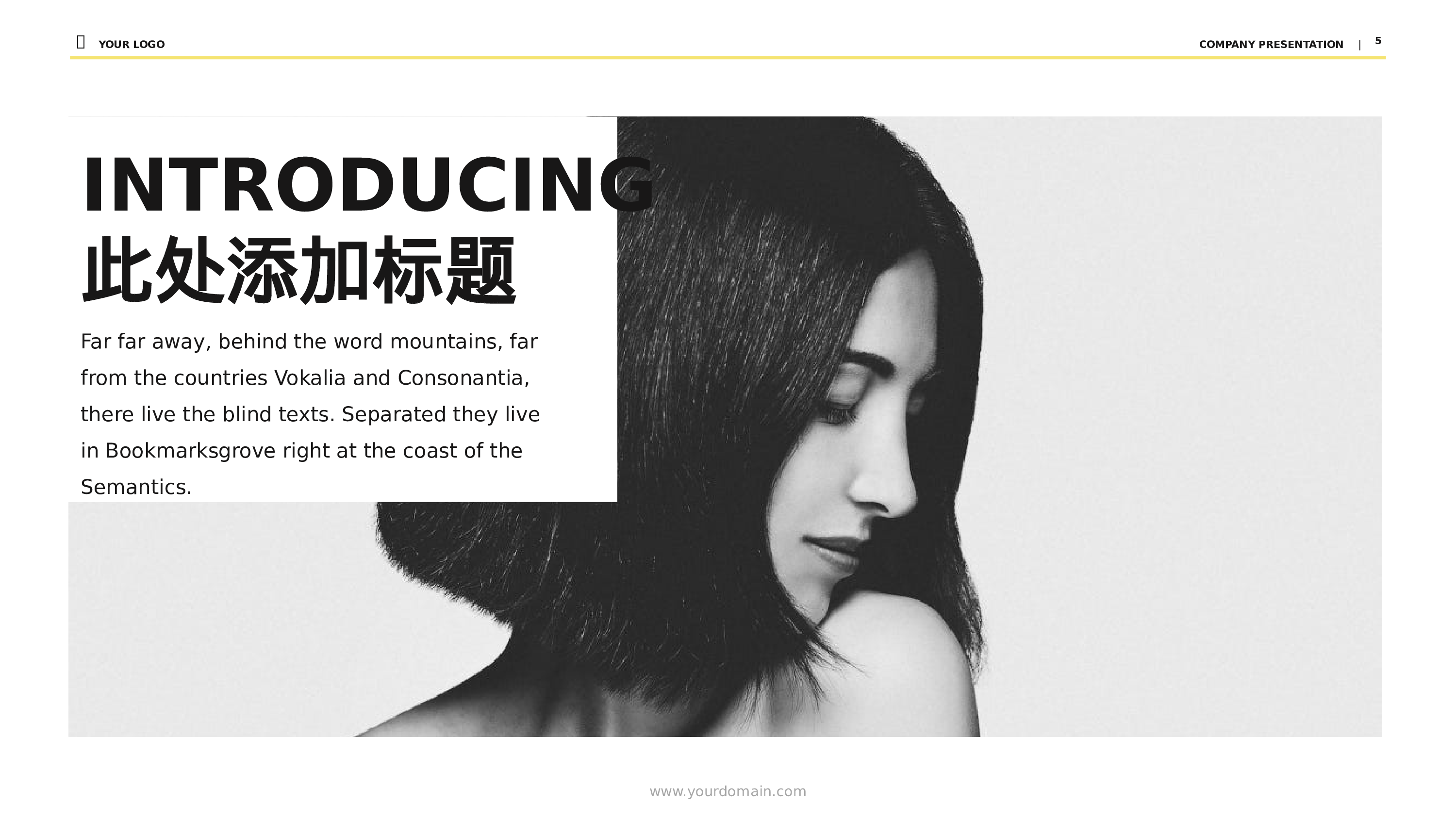 商务编号（11）23.pptx 第5页