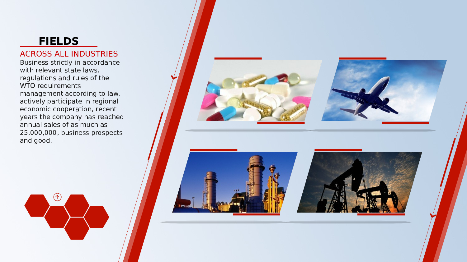 商务风格(18)——yy[104].ppt 第5页