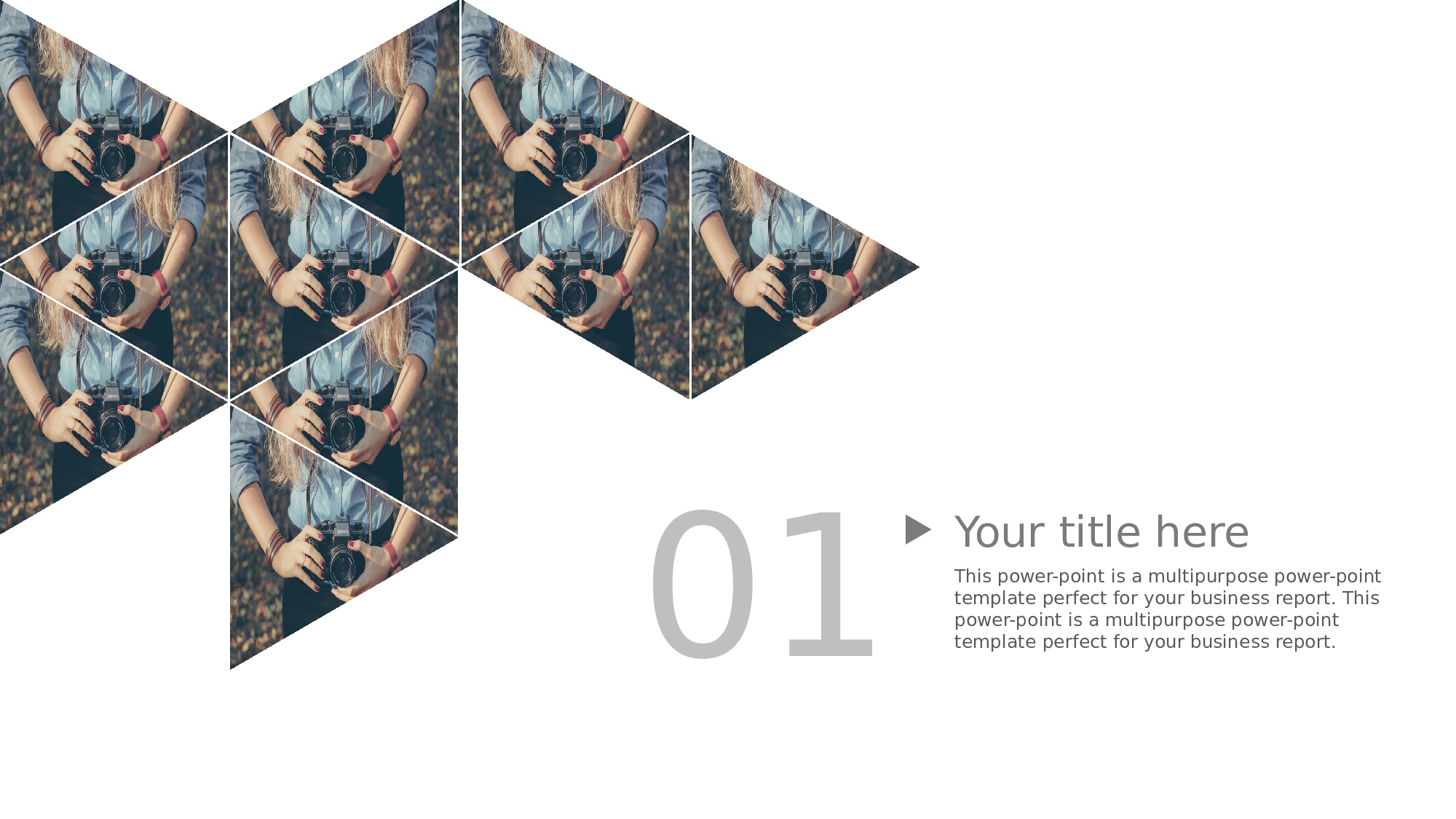 商务风格(30)——yy[116].pptx 第3页