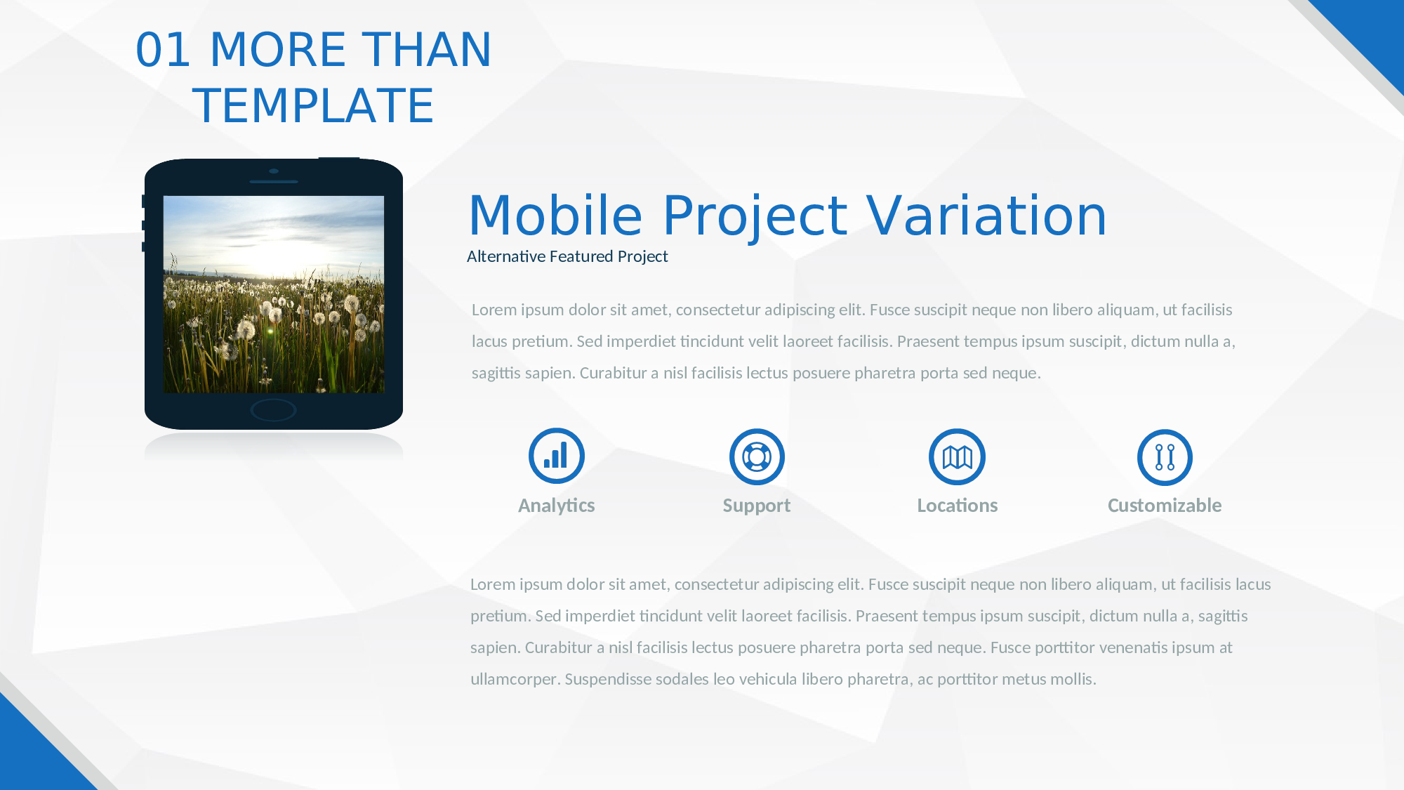 商务PPT模板 (39).ppt 第5页