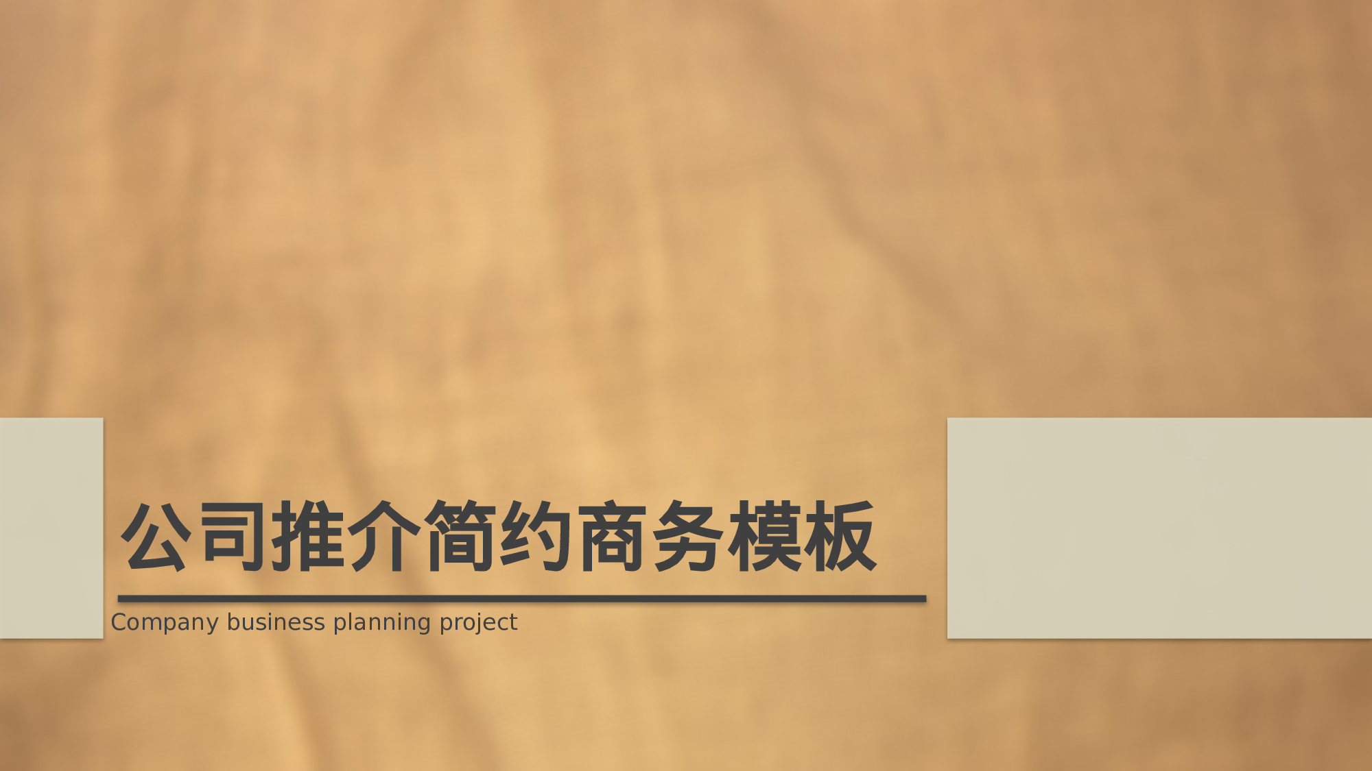 商业计划书模板04245.pptx 第1页