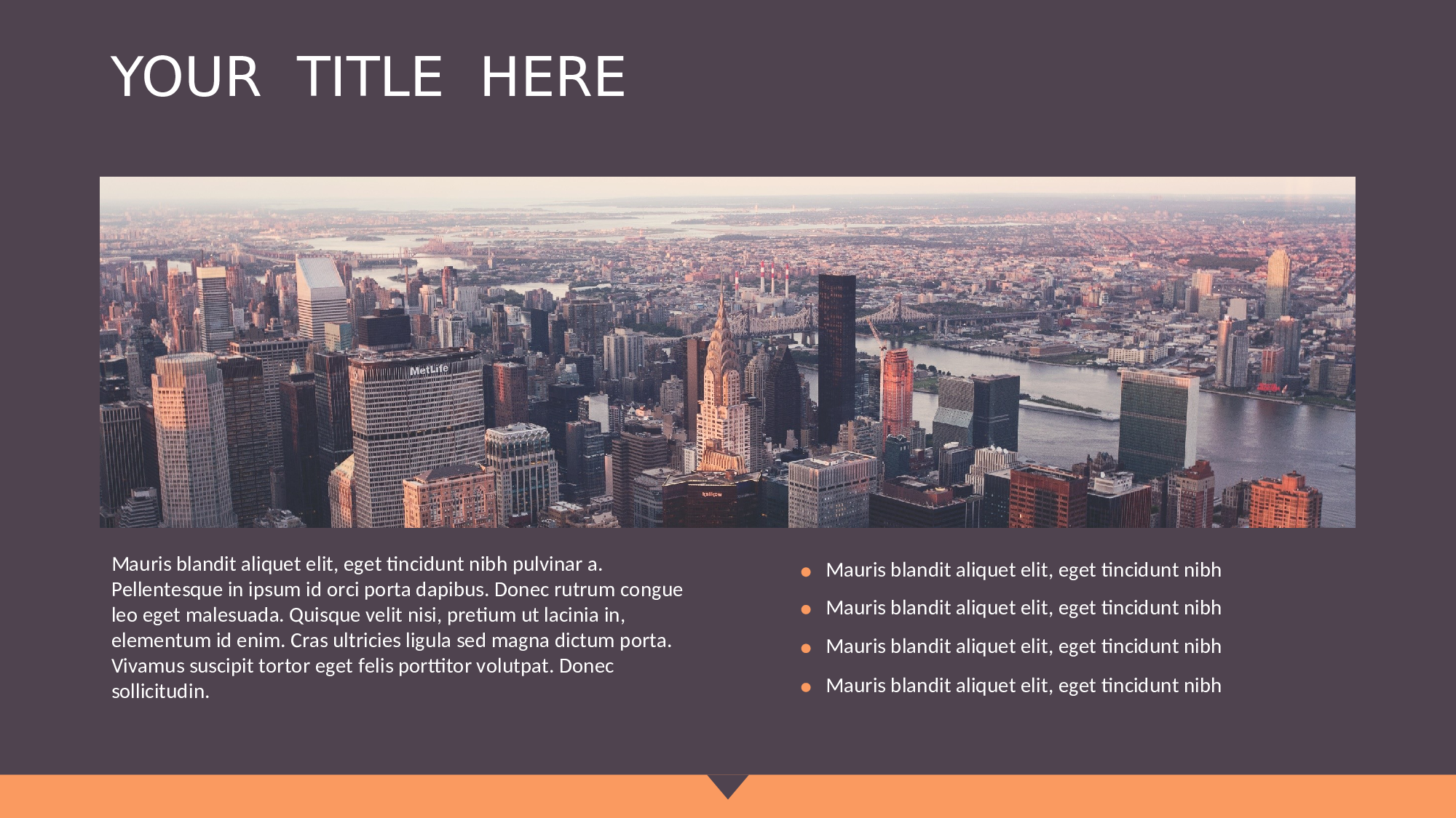 商务PPT模板 (7).ppt 第4页