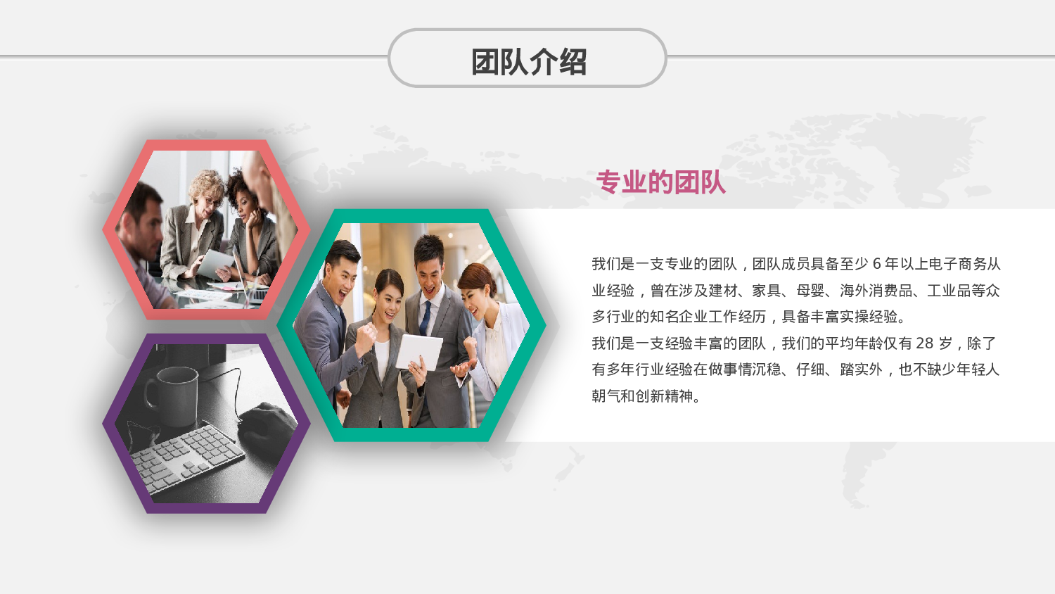 商业策划PPT模板.pptx 第5页