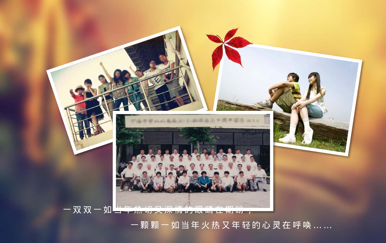 唯美青春毕业季同学聚会ppt视频模版.pptx 第2页