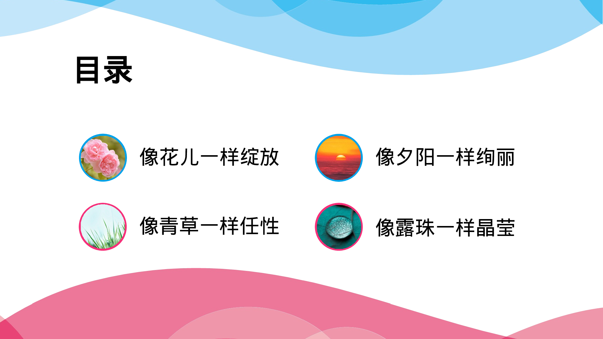 野望教育绽放绚烂.pptx 第2页