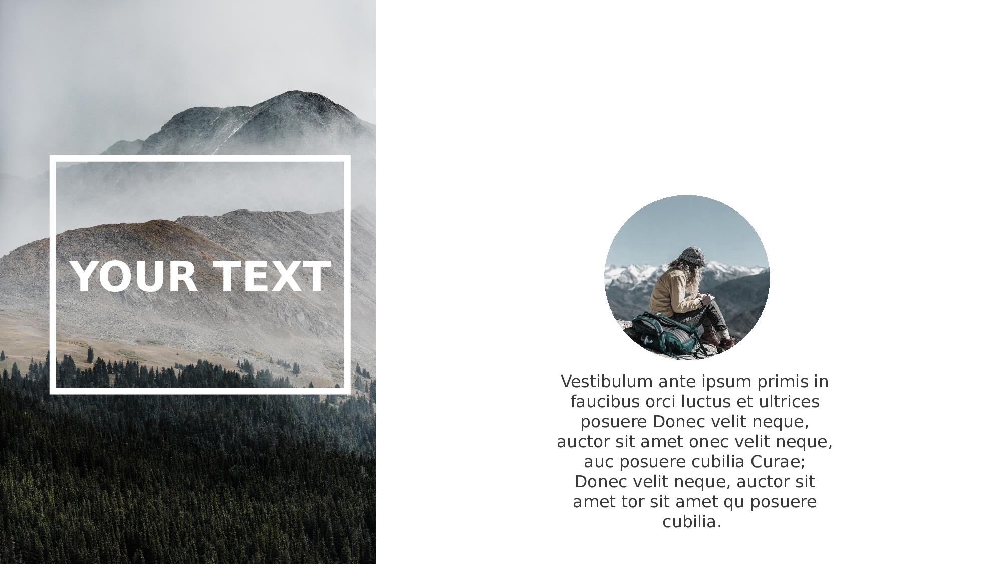 极简实用5537.pptx 第3页