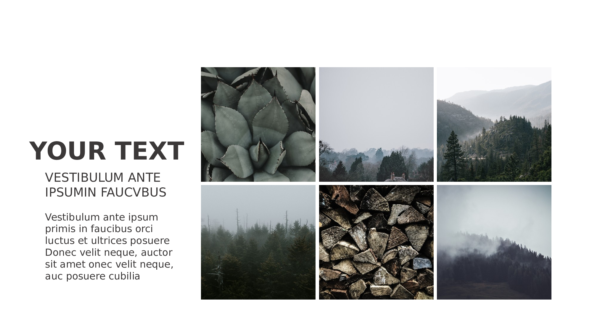 极简实用5537.pptx 第6页