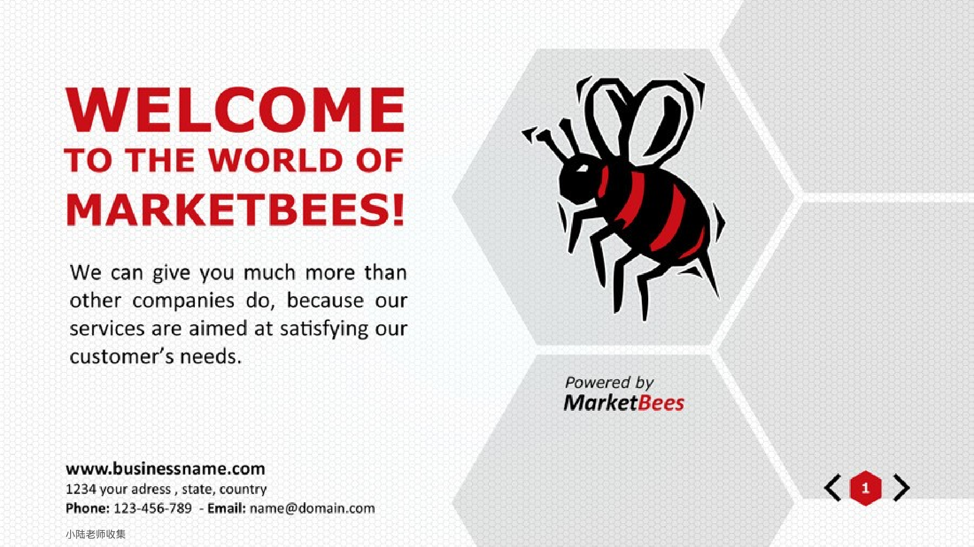 蜜蜂元素模板.pptx 第1页