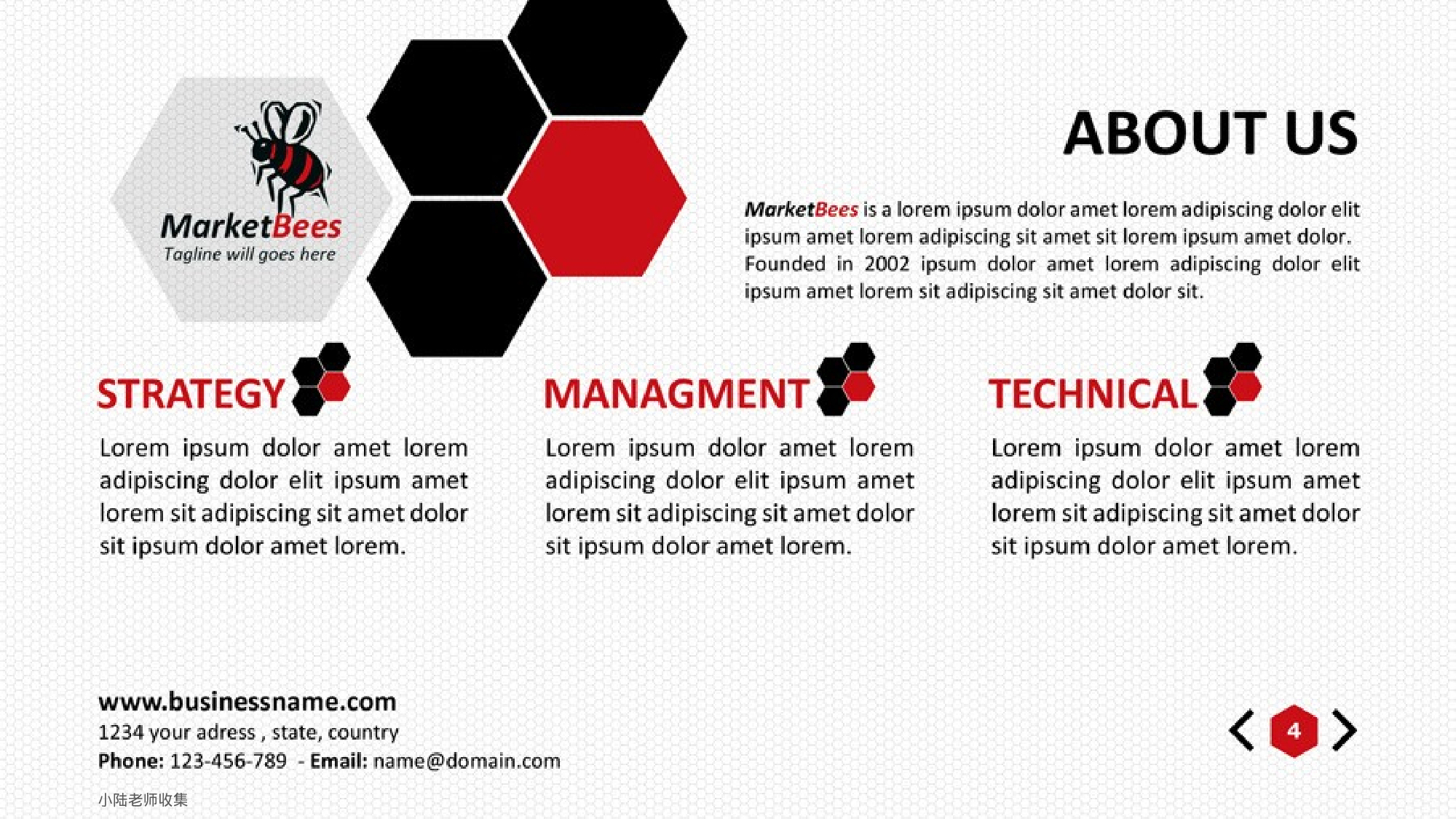 蜜蜂元素模板.pptx 第4页