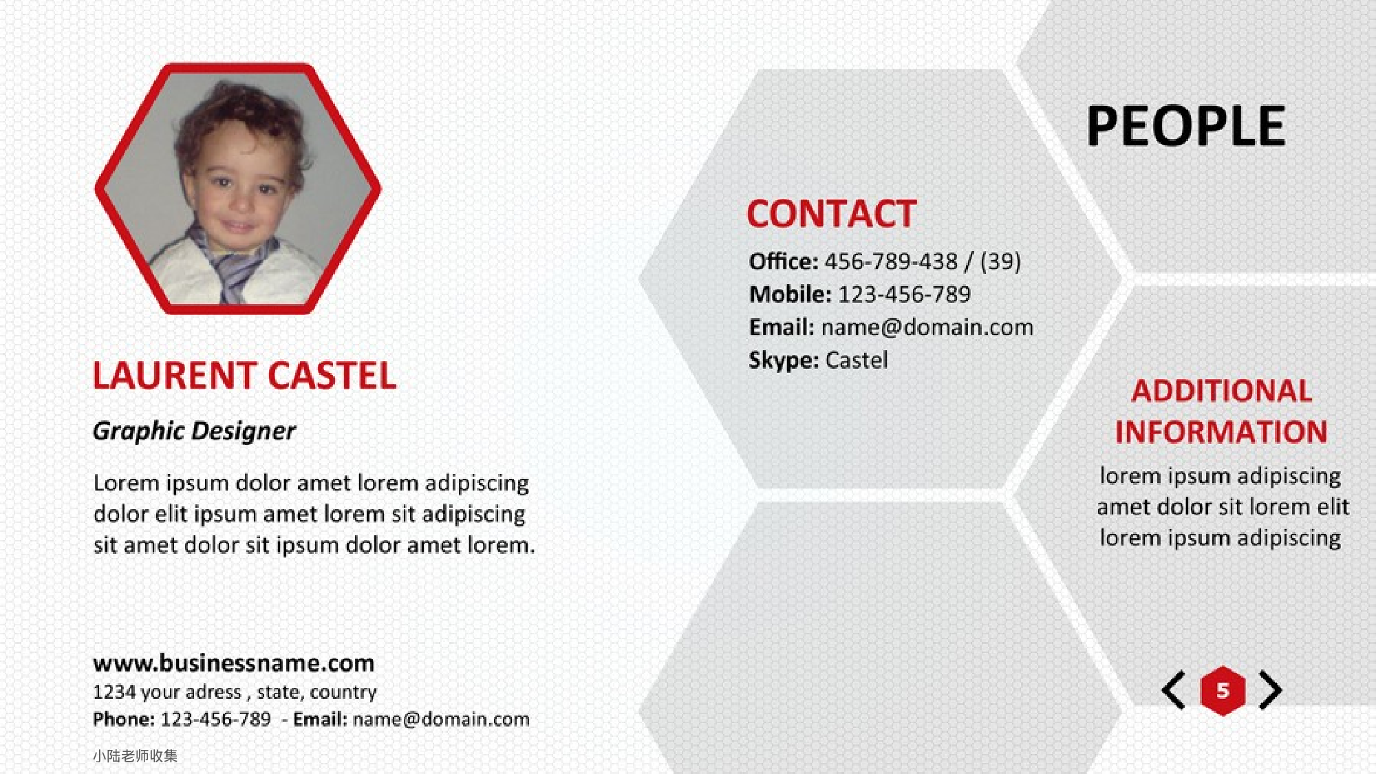 蜜蜂元素模板.pptx 第5页