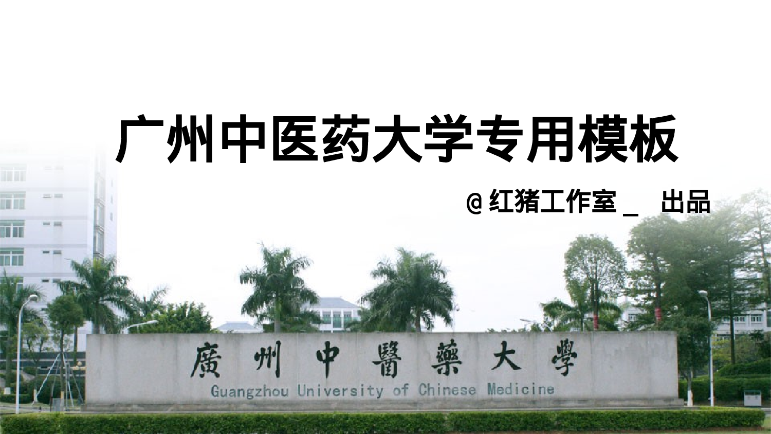 医疗护士53.pptx 第1页