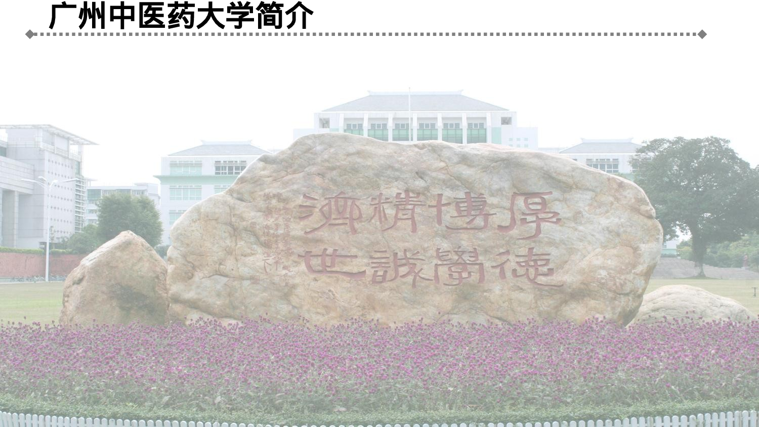 医疗护士53.pptx 第3页