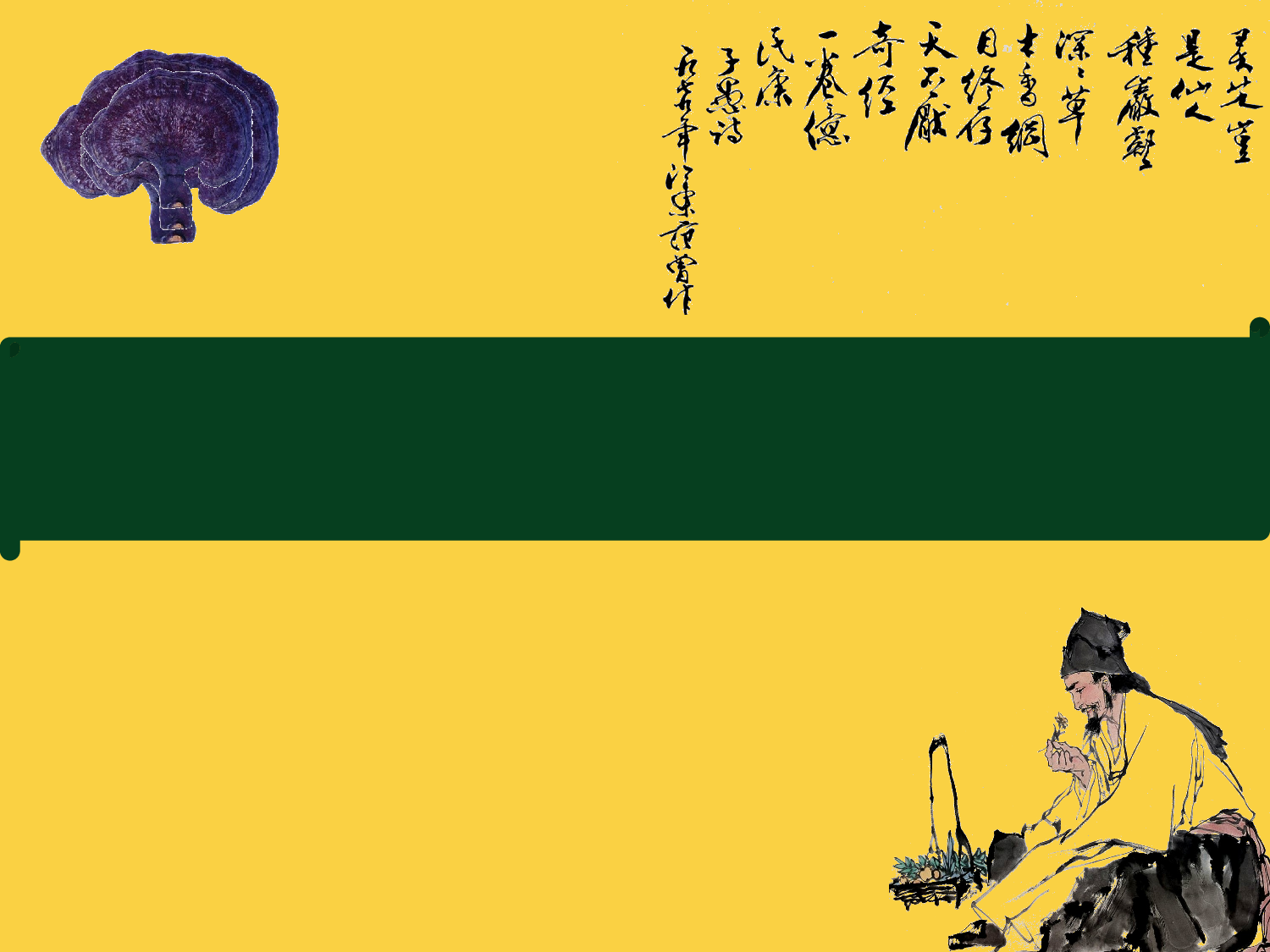 素材医疗护士11.pptx 第1页