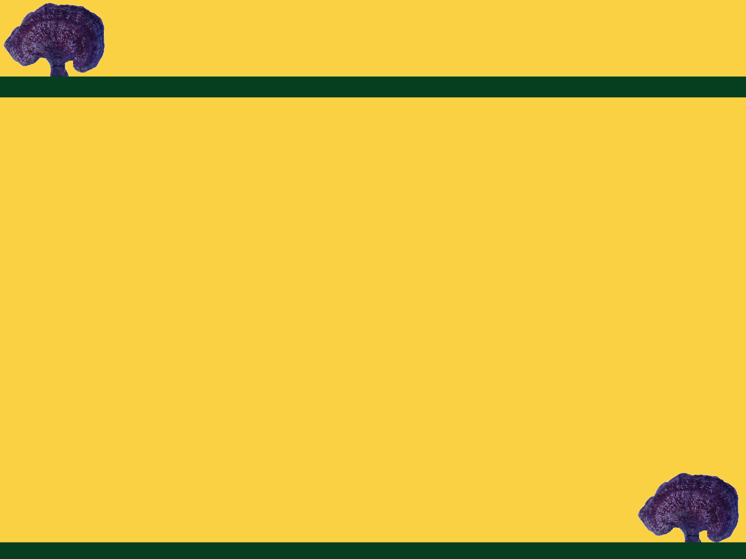 素材医疗护士11.pptx 第2页