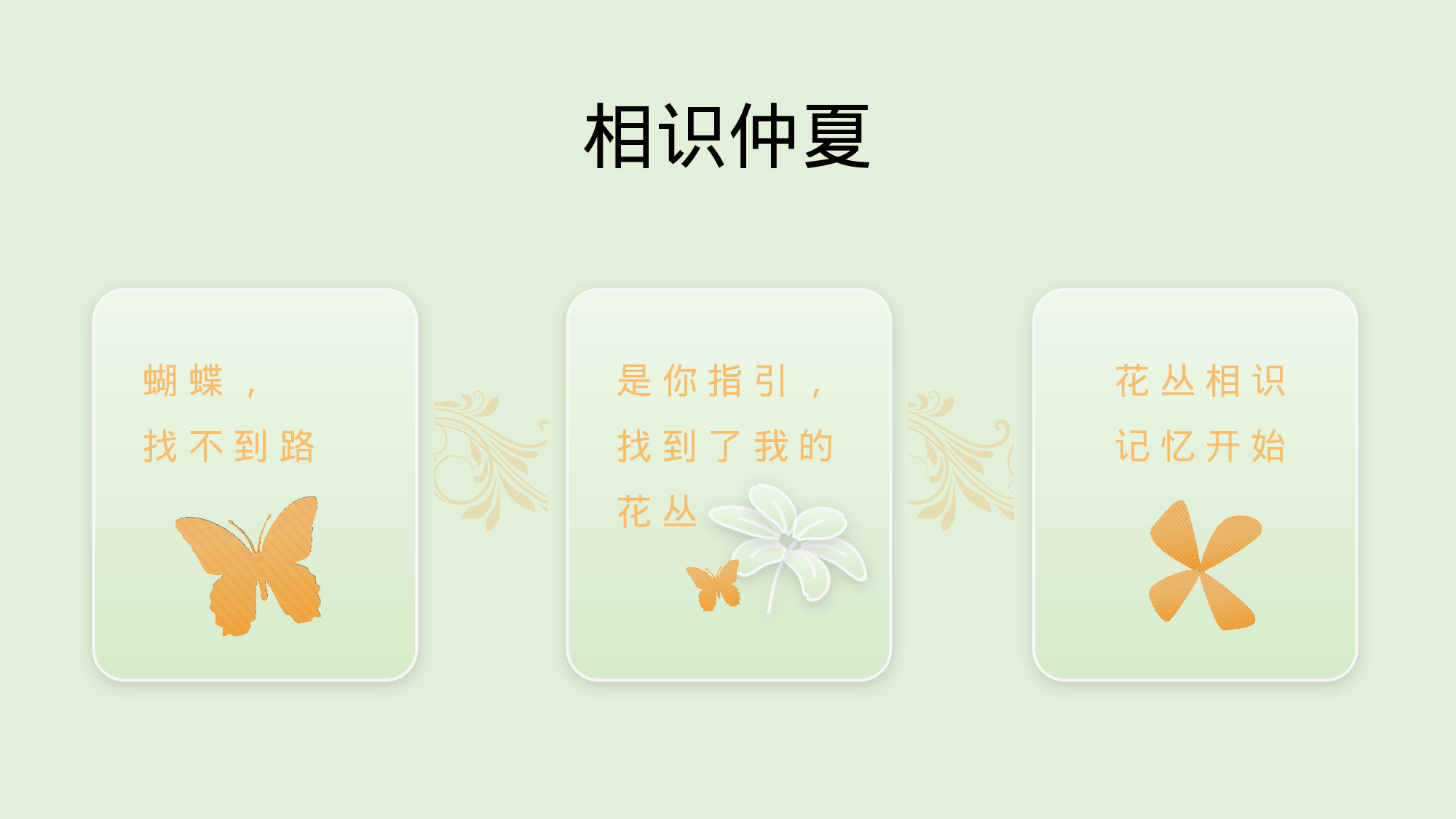 毕业 夏之惜.pptx 第3页