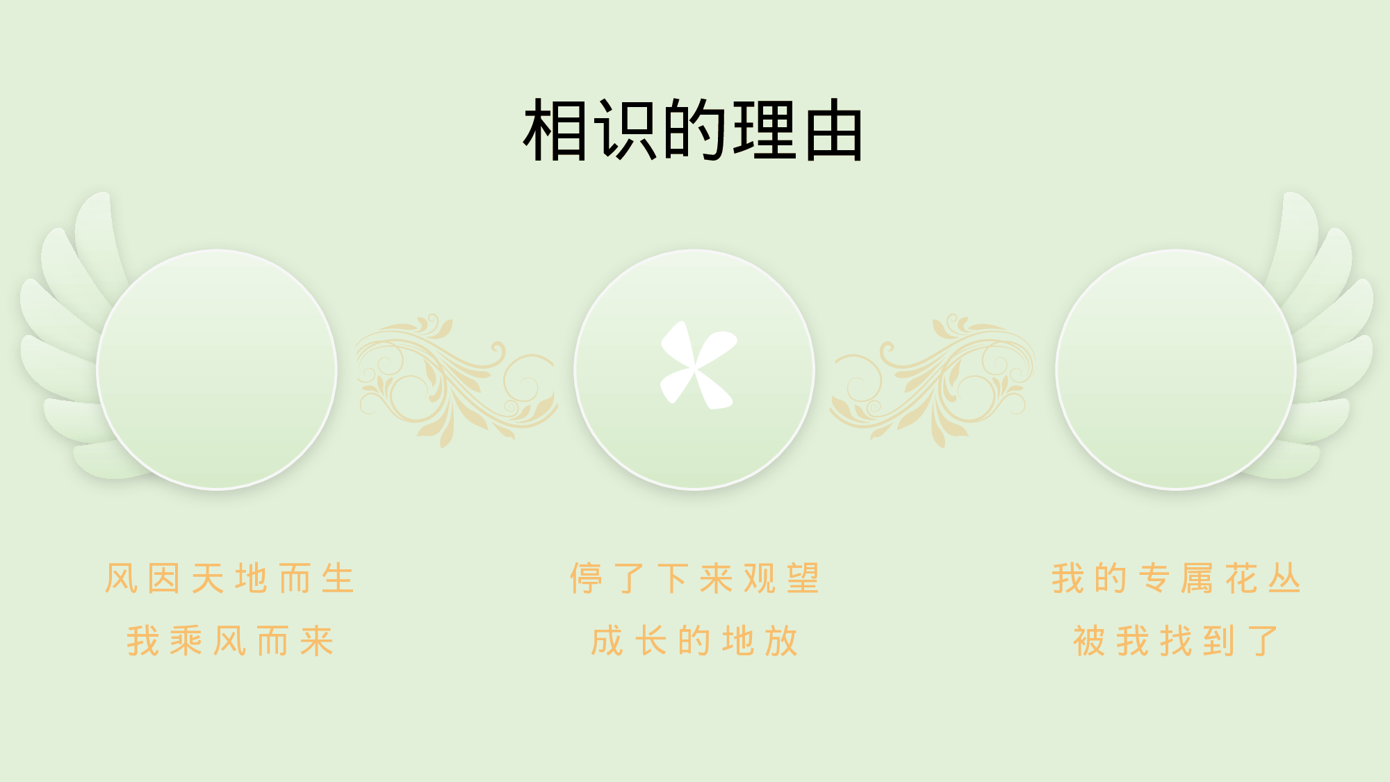 毕业 夏之惜.pptx 第4页