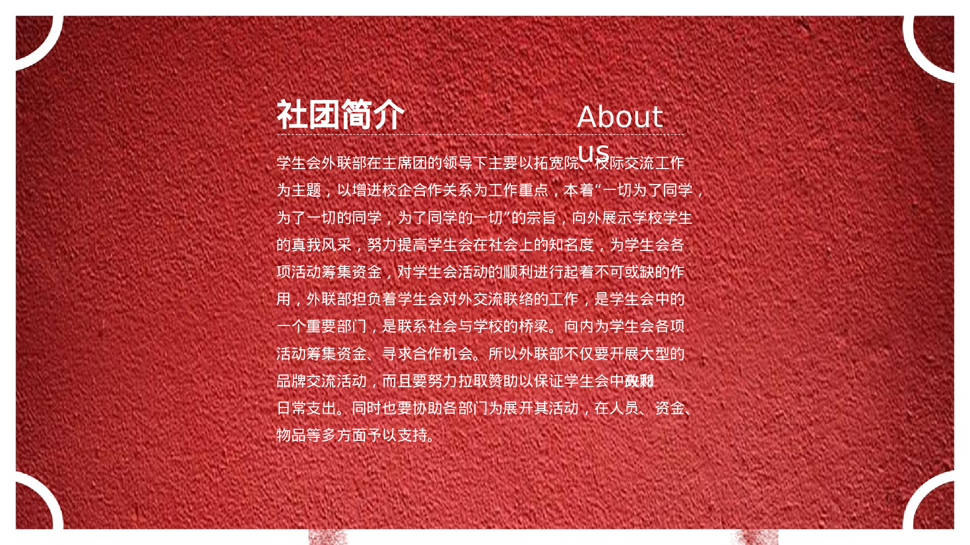 社团招新PPT  (6).pptx 第5页