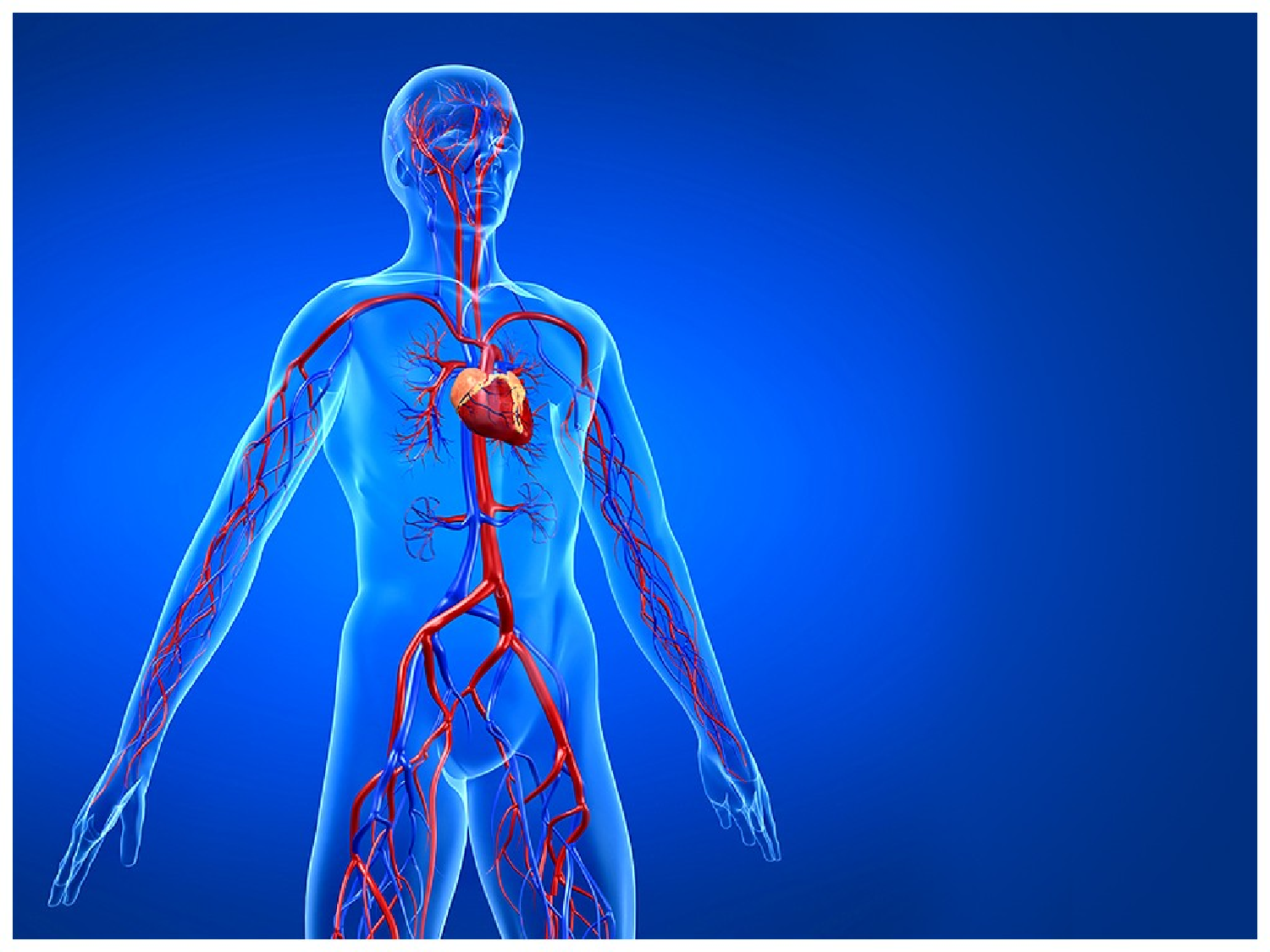 医疗护士21.pptx 第1页