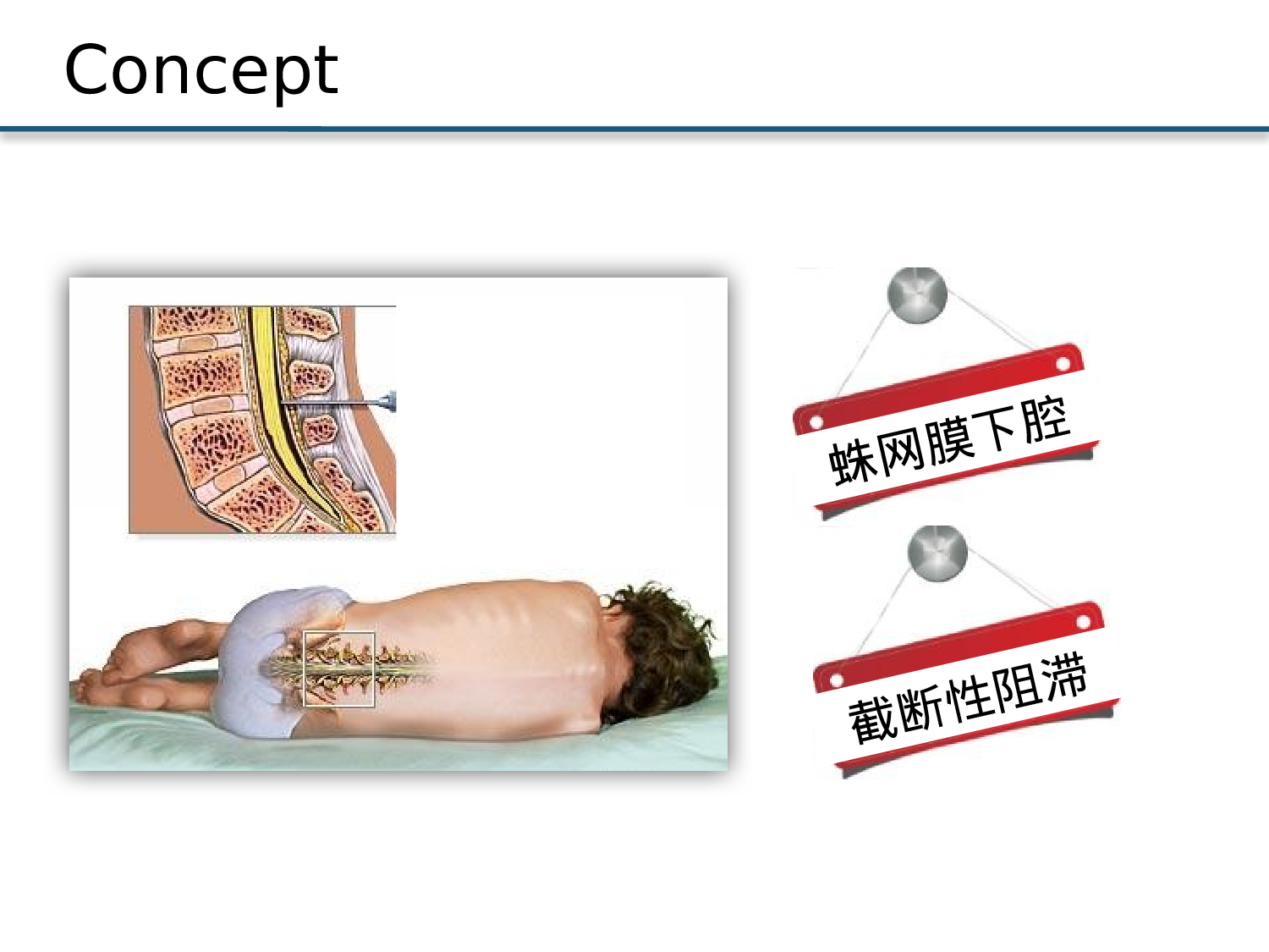 医疗护士33.pptx 第4页