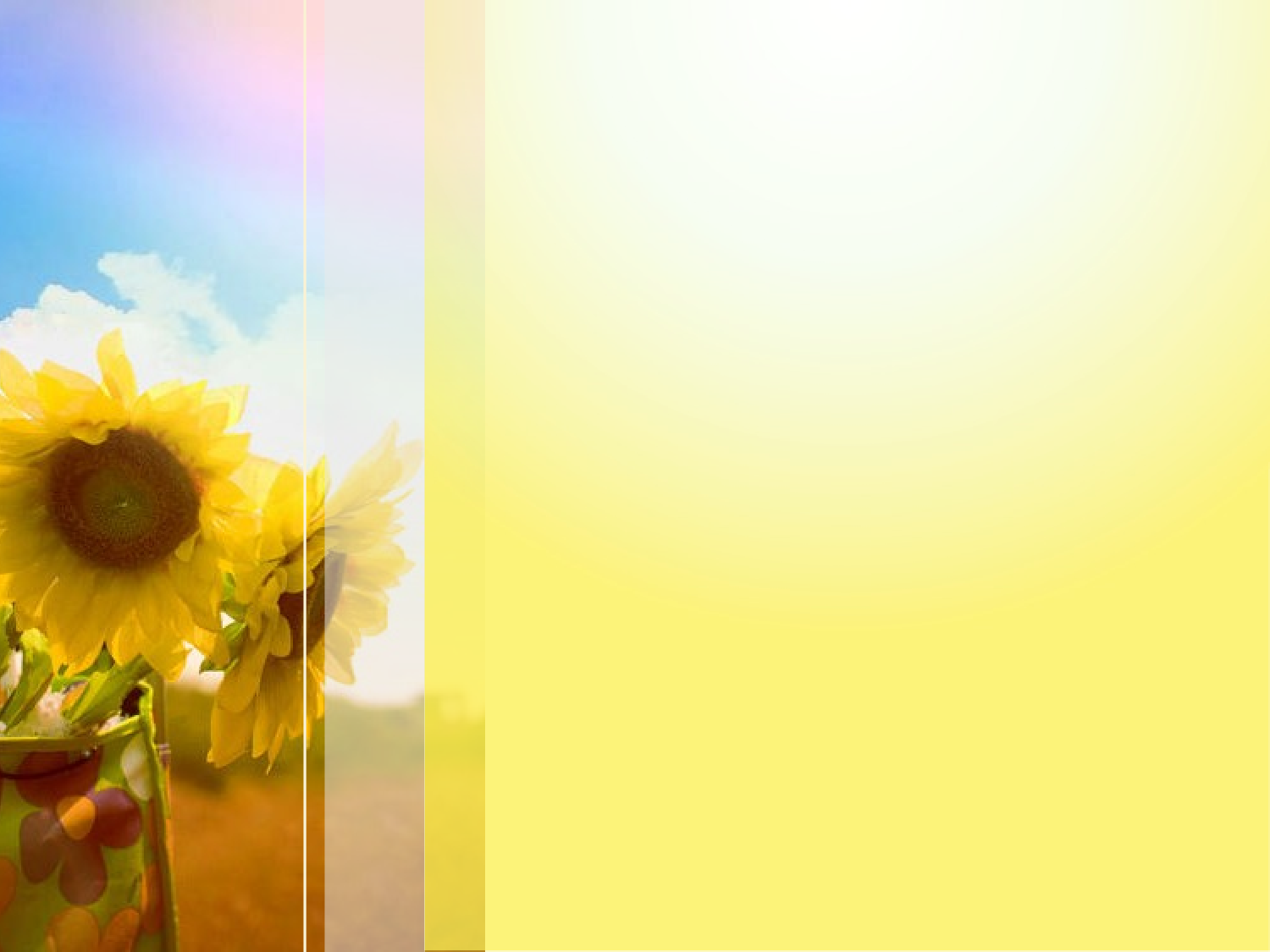 精美图表065495.pptx 第1页