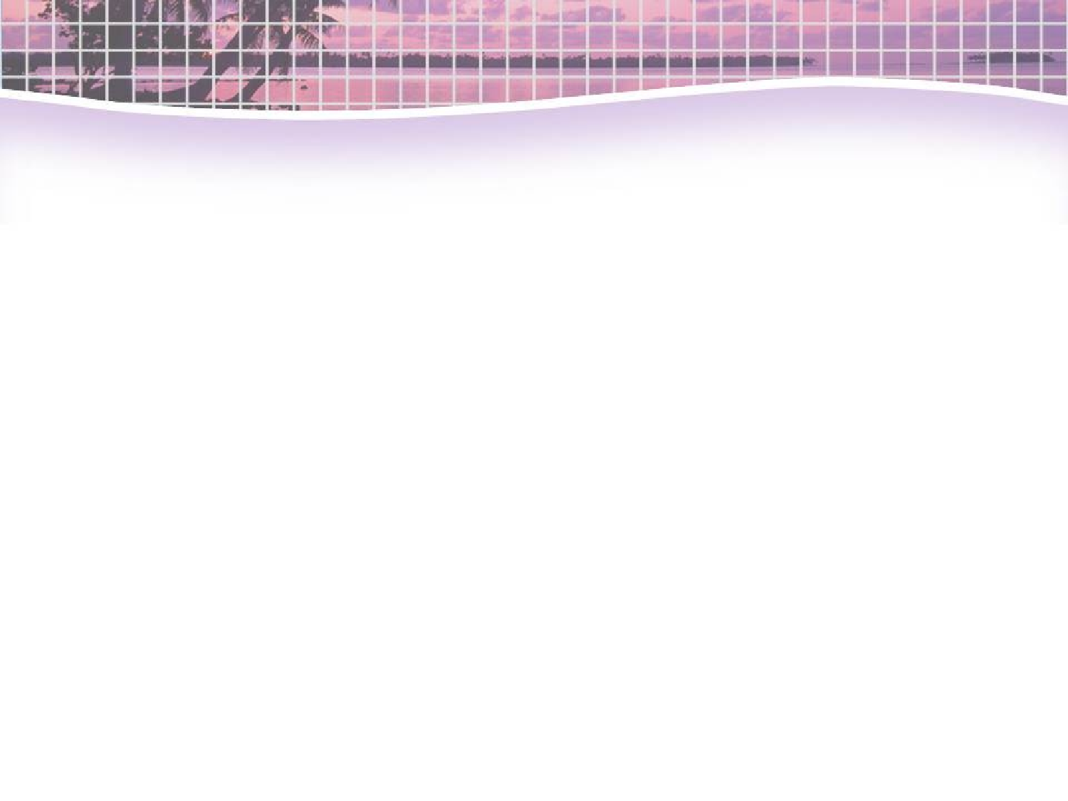 精美图表067287.pptx 第2页