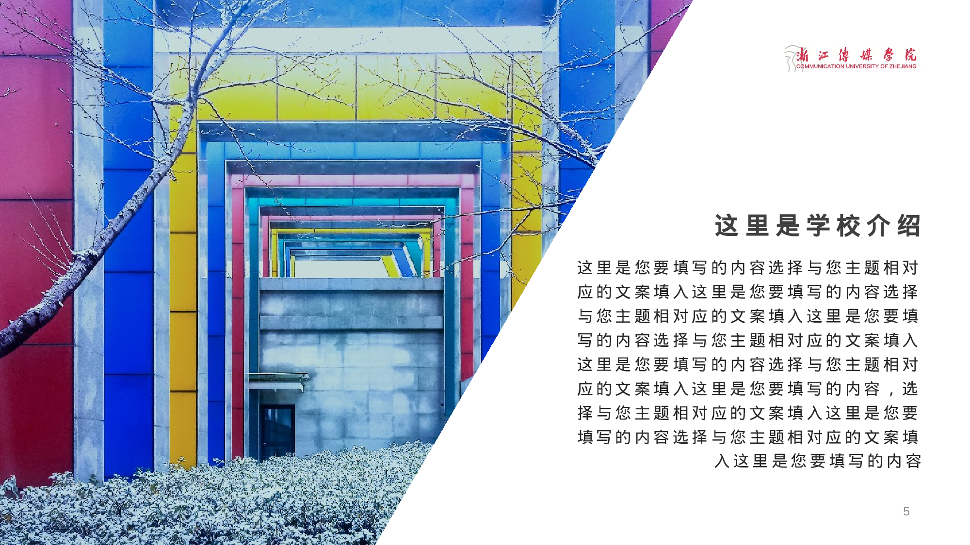 某某大学答辩通用模板350.pptx 第5页