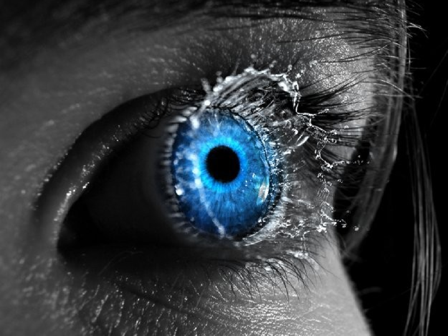 美眼传说.ppt 第2页