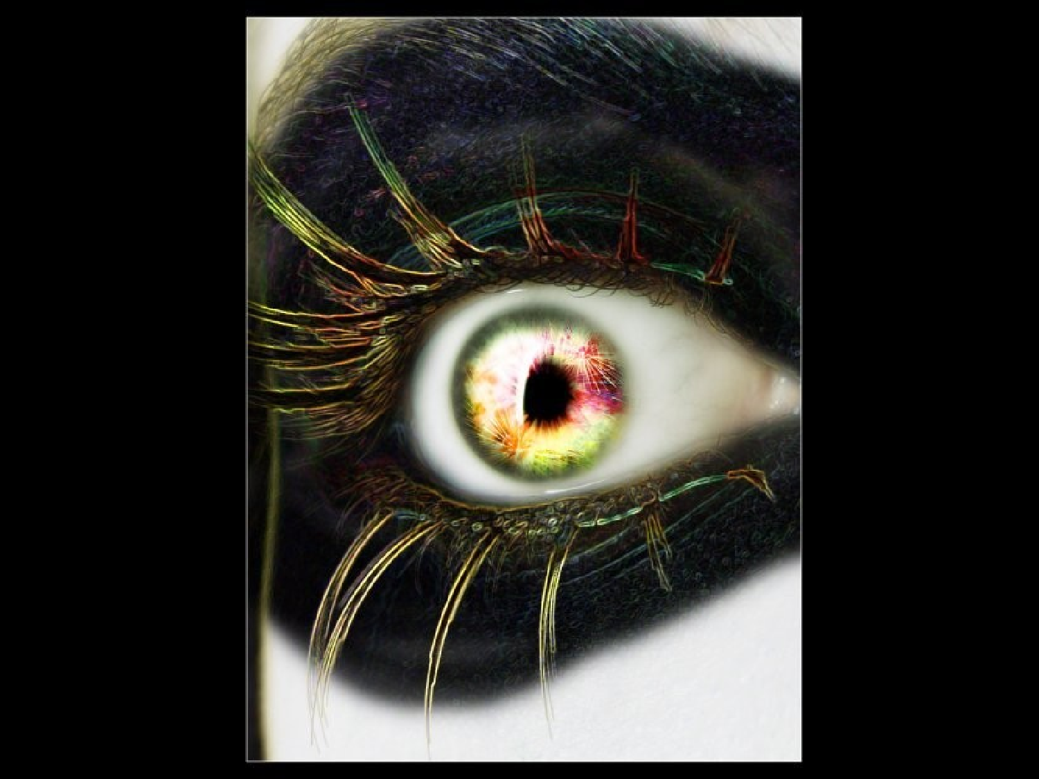 美眼传说.ppt 第6页