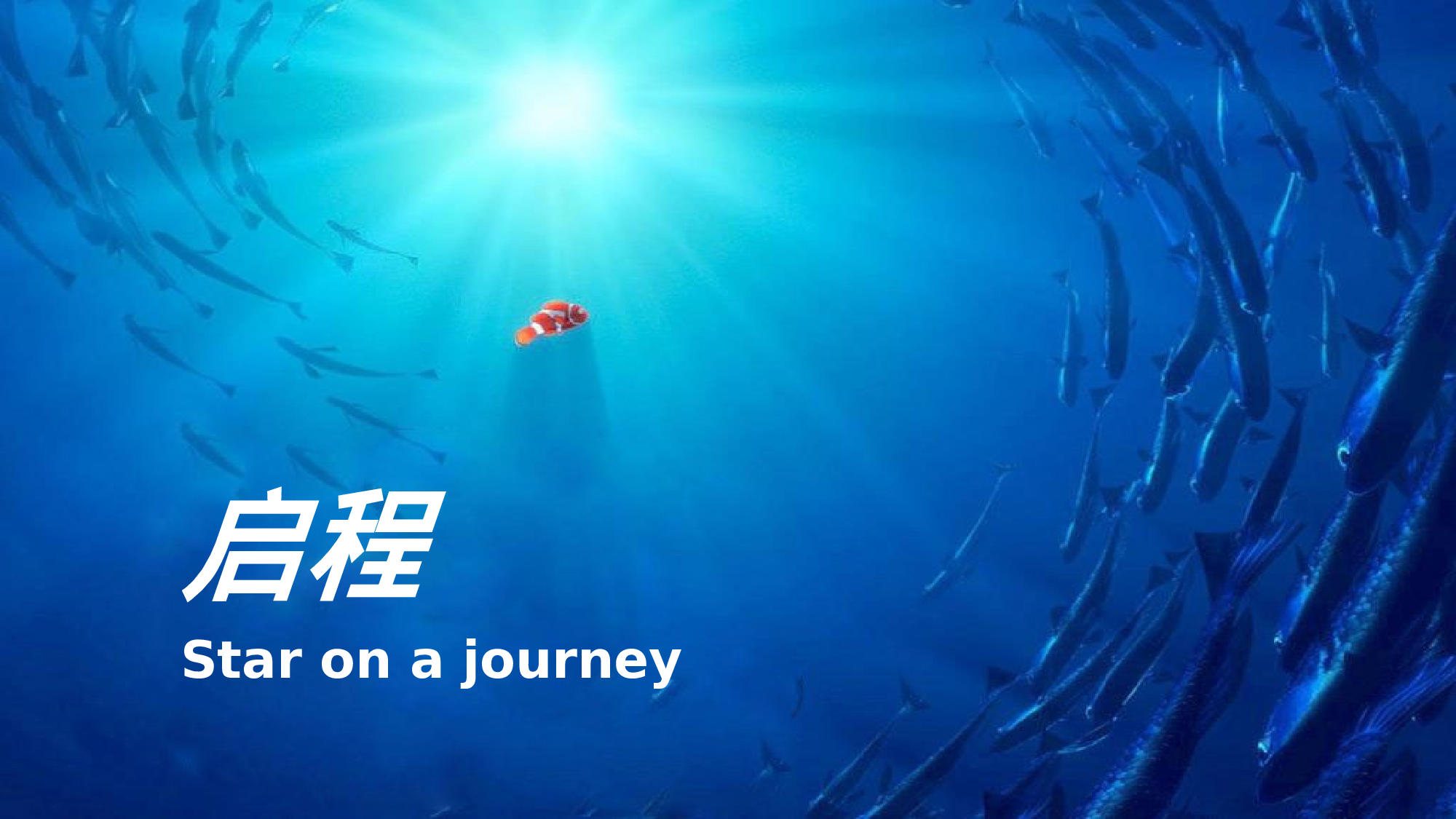 计划（海洋风格）.pptx 第1页