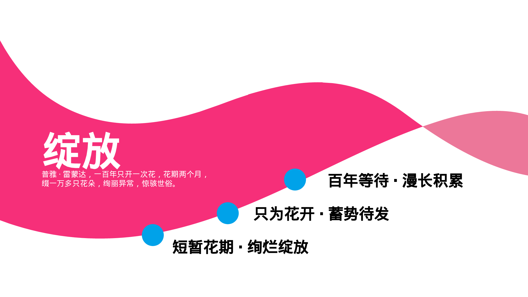 野望教育绽放绚烂.pptx 第3页