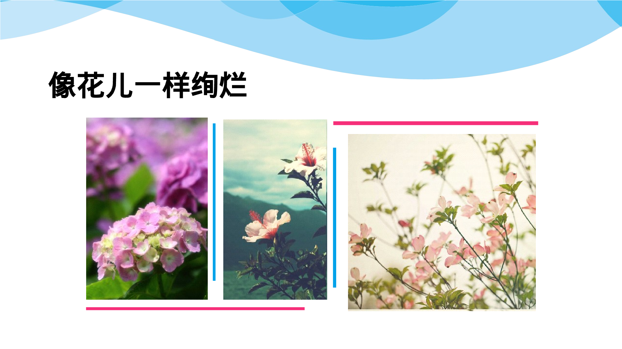 野望教育绽放绚烂.pptx 第4页