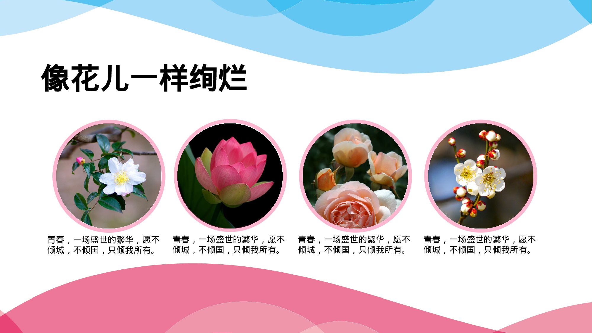 野望教育绽放绚烂.pptx 第5页