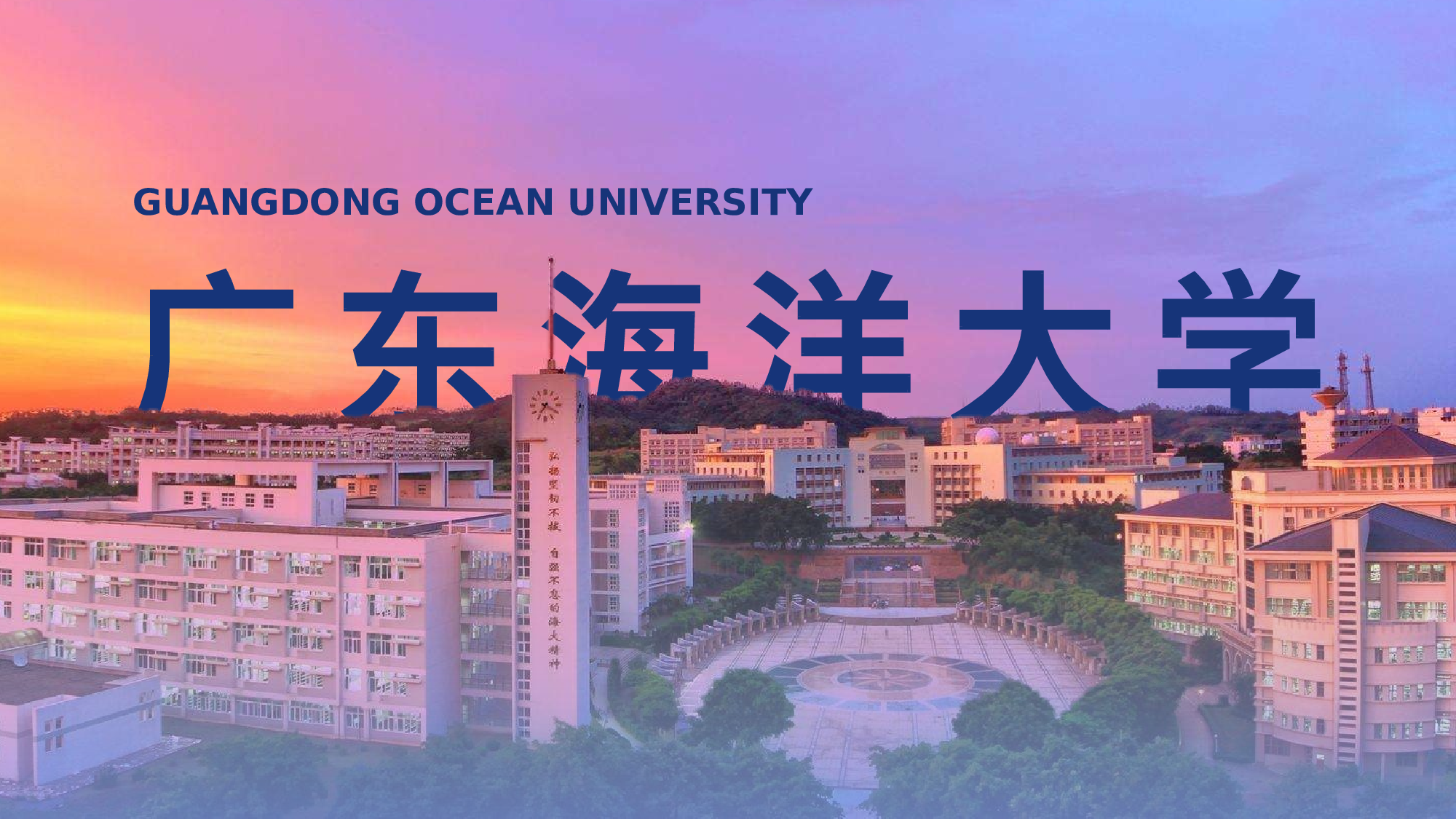 某某大学答辩通用模板431.pptx 第1页