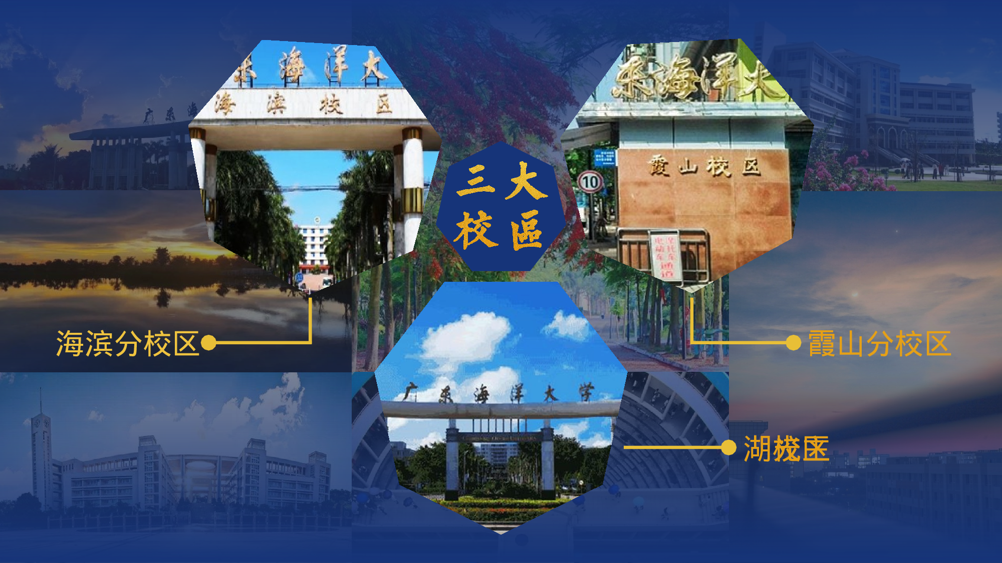 某某大学答辩通用模板431.pptx 第6页