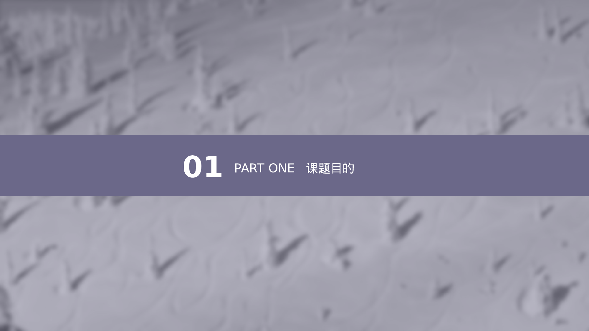 学术答辩—30.pptx 第3页