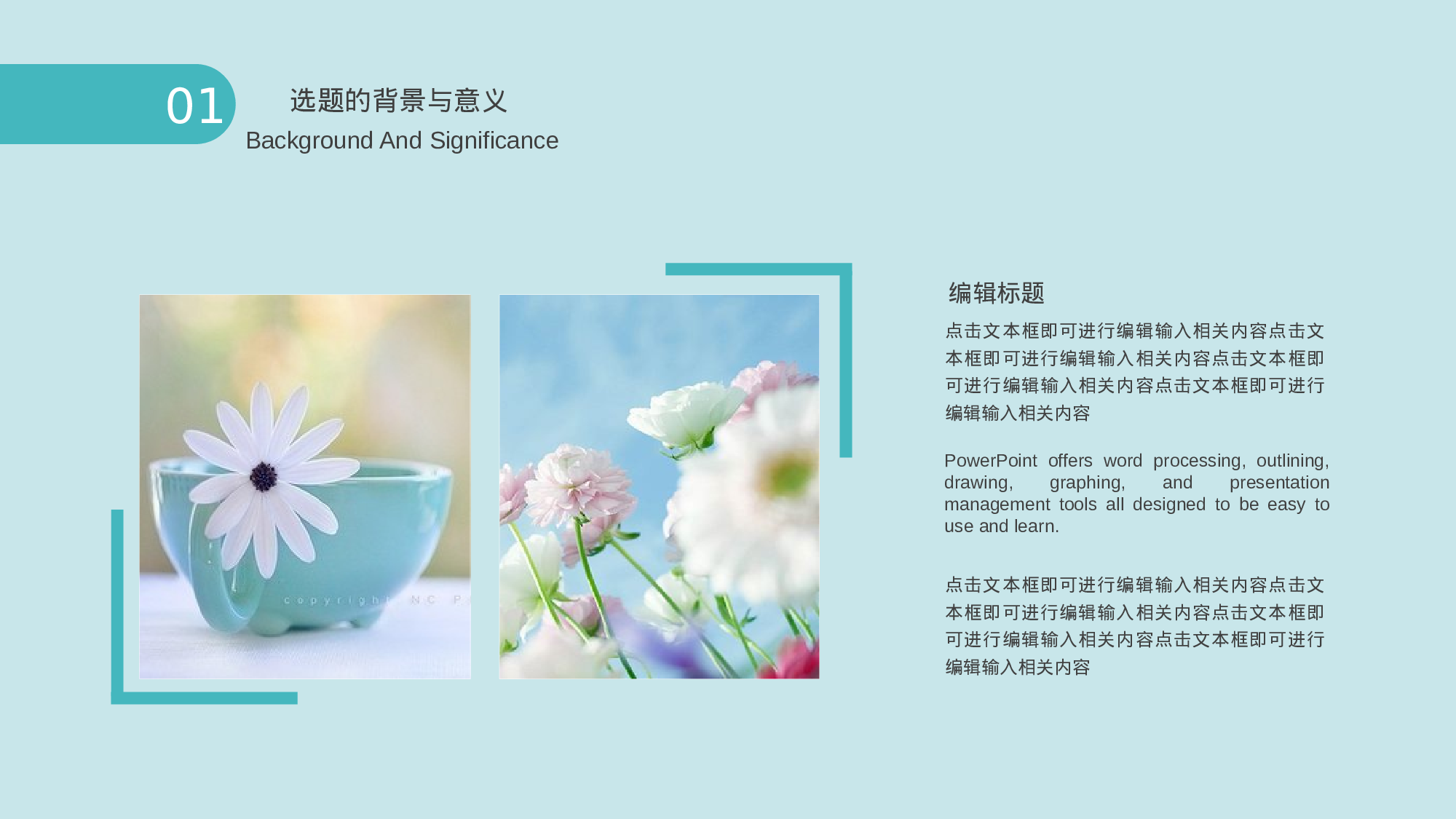 学术答辩静 (9).pptx 第4页