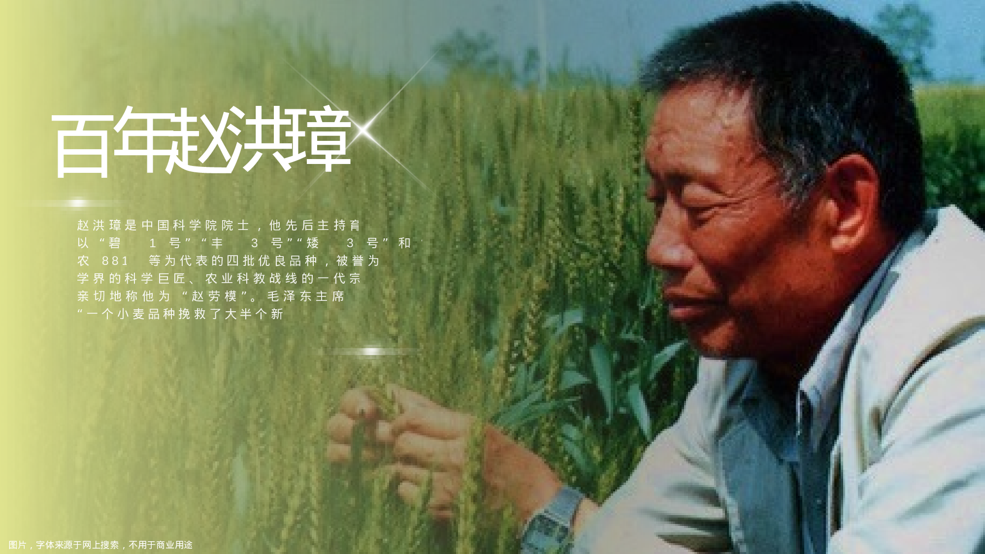 某某大学答辩通用模板306.pptx 第6页