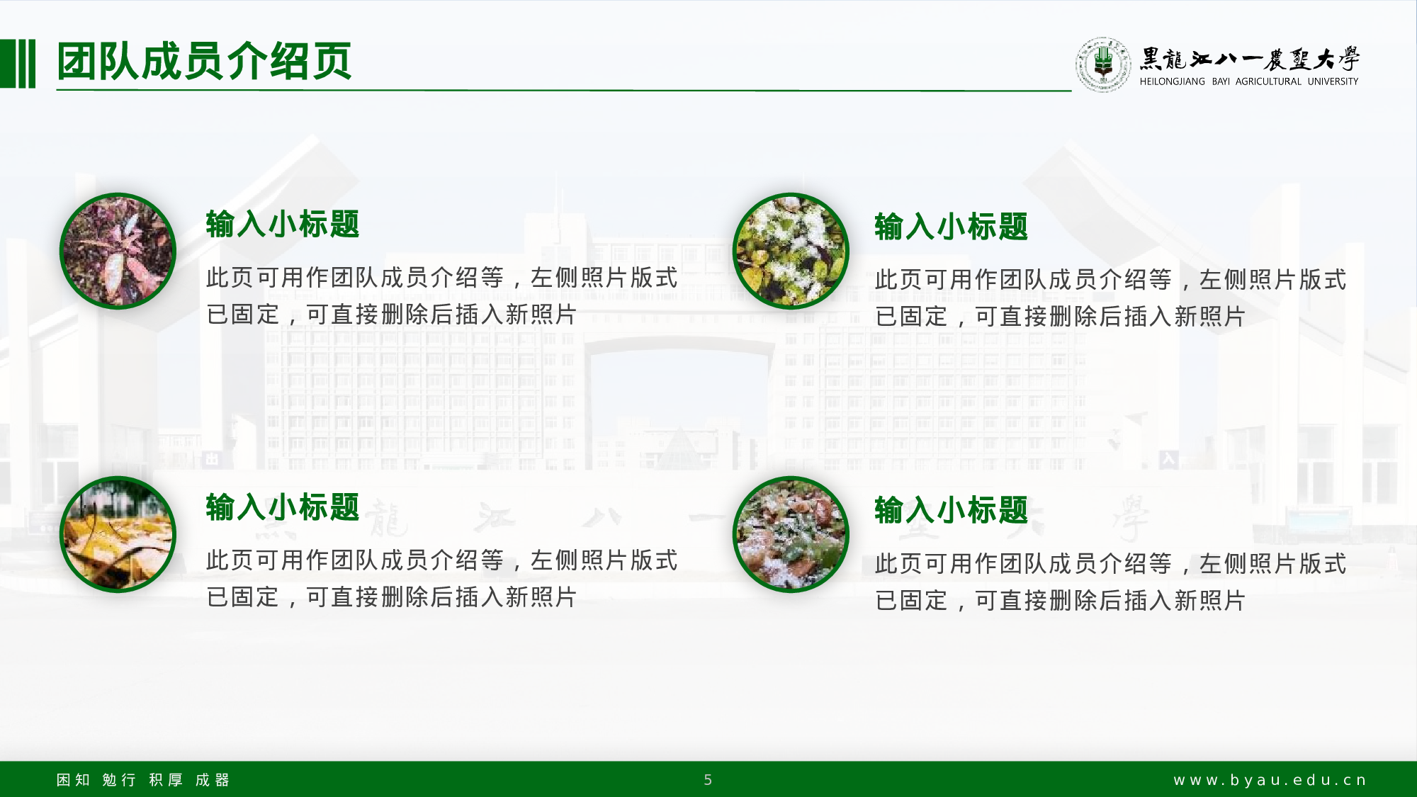 某某大学答辩通用模板31.pptx 第5页