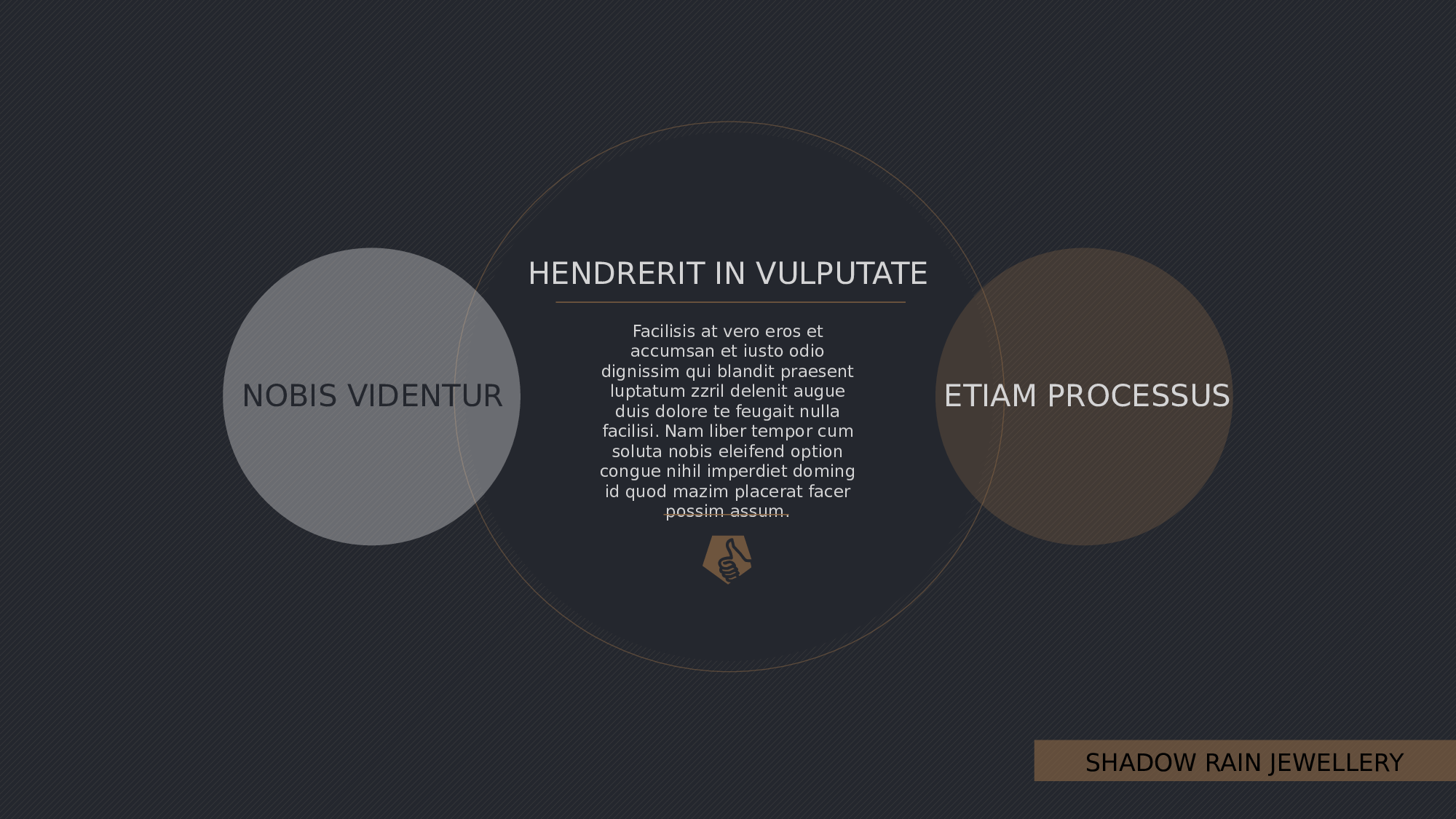 空灵风7919.pptx 第2页