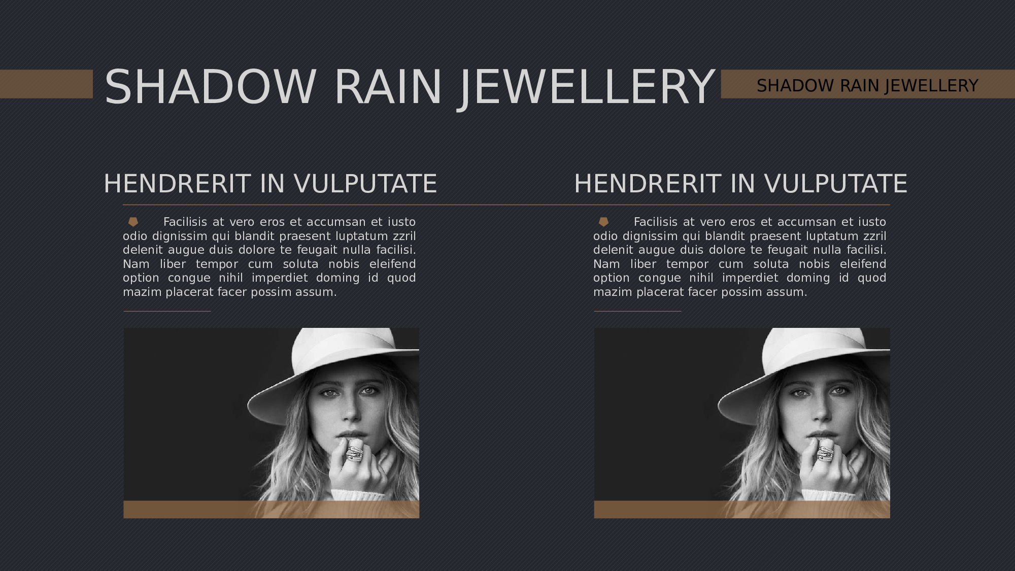 空灵风7919.pptx 第3页