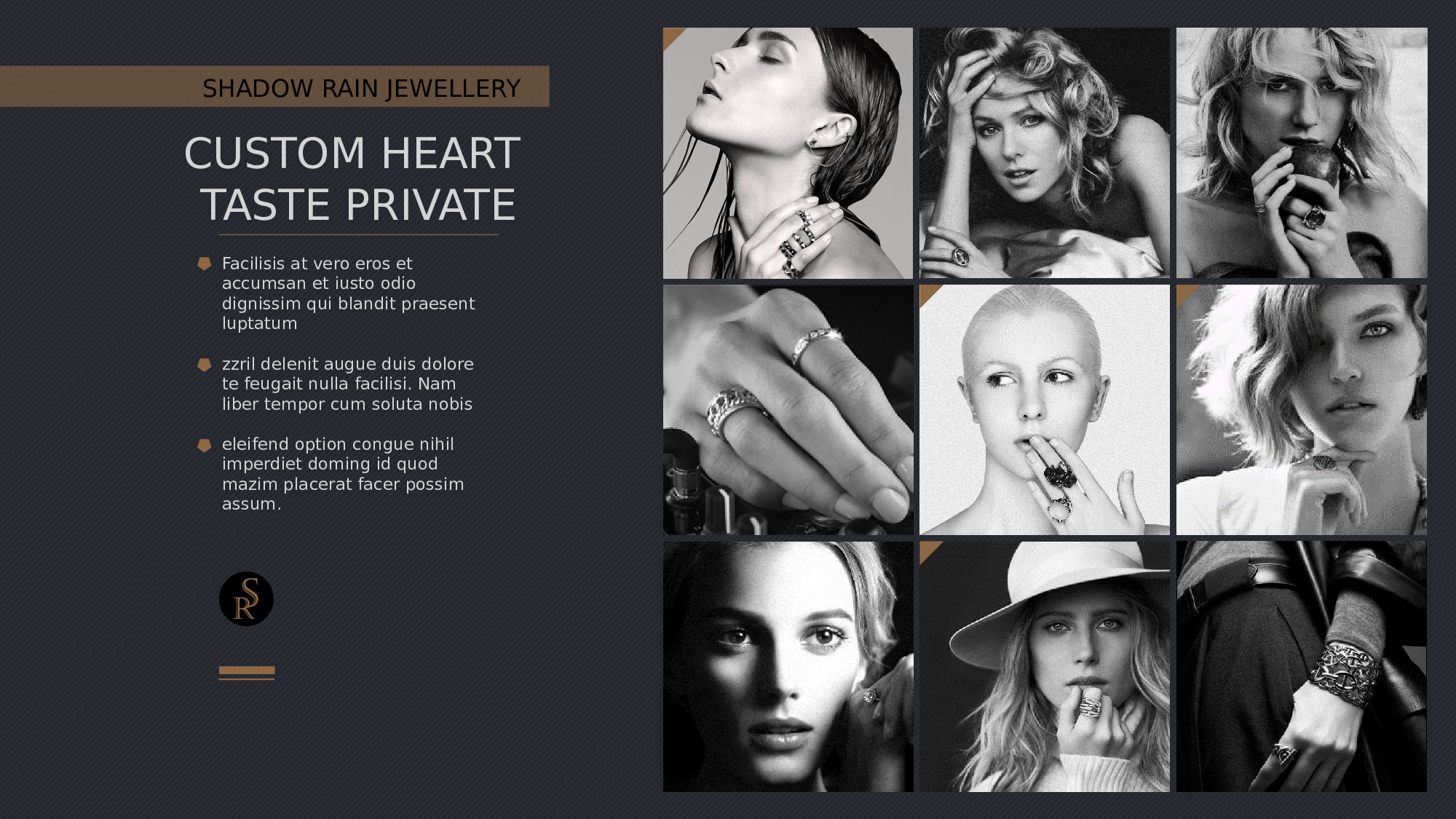 空灵风7919.pptx 第4页