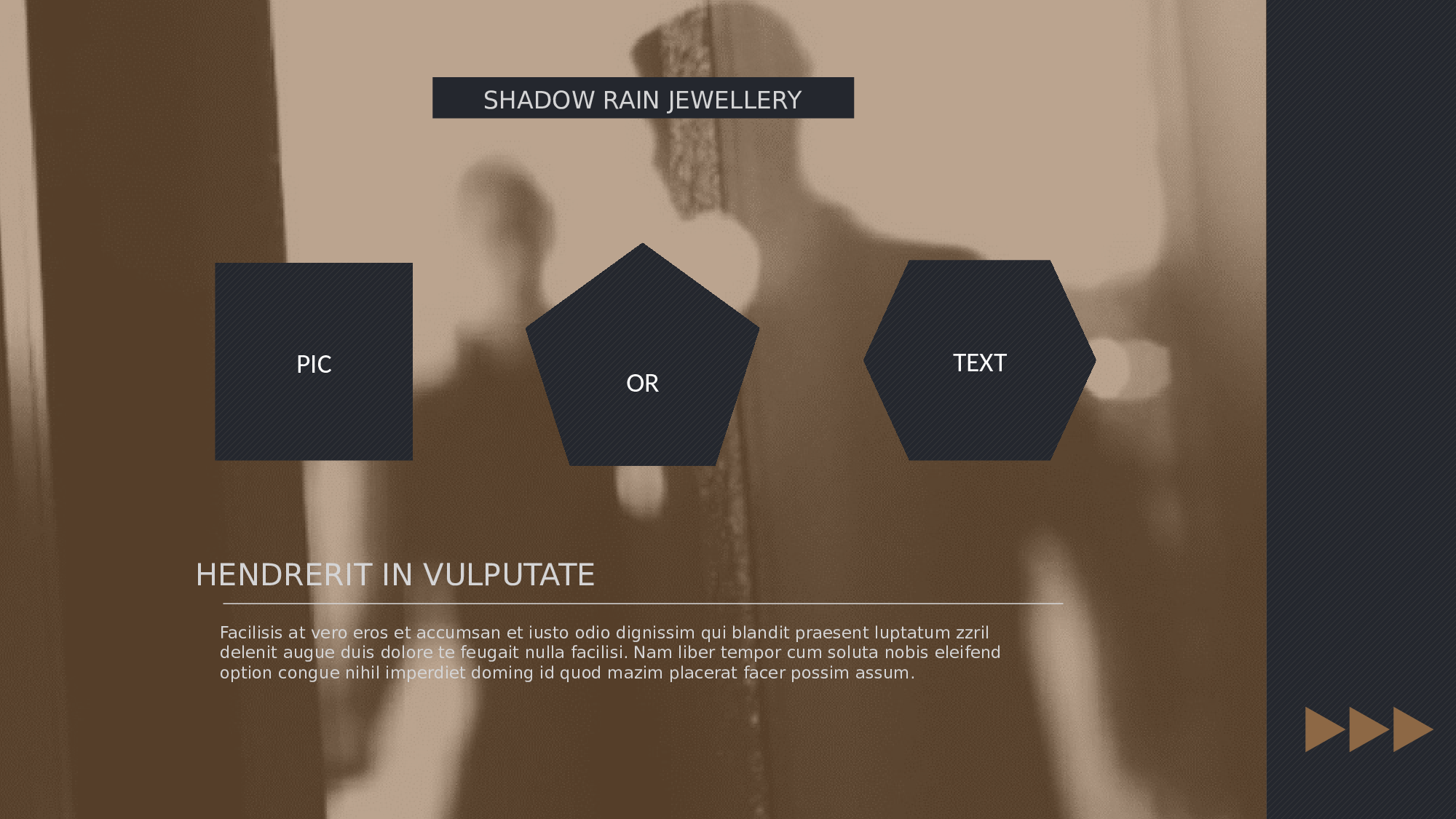 空灵风7919.pptx 第5页