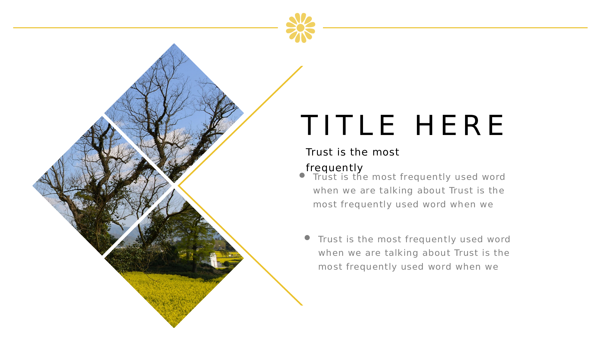 空灵风8525.pptx 第4页