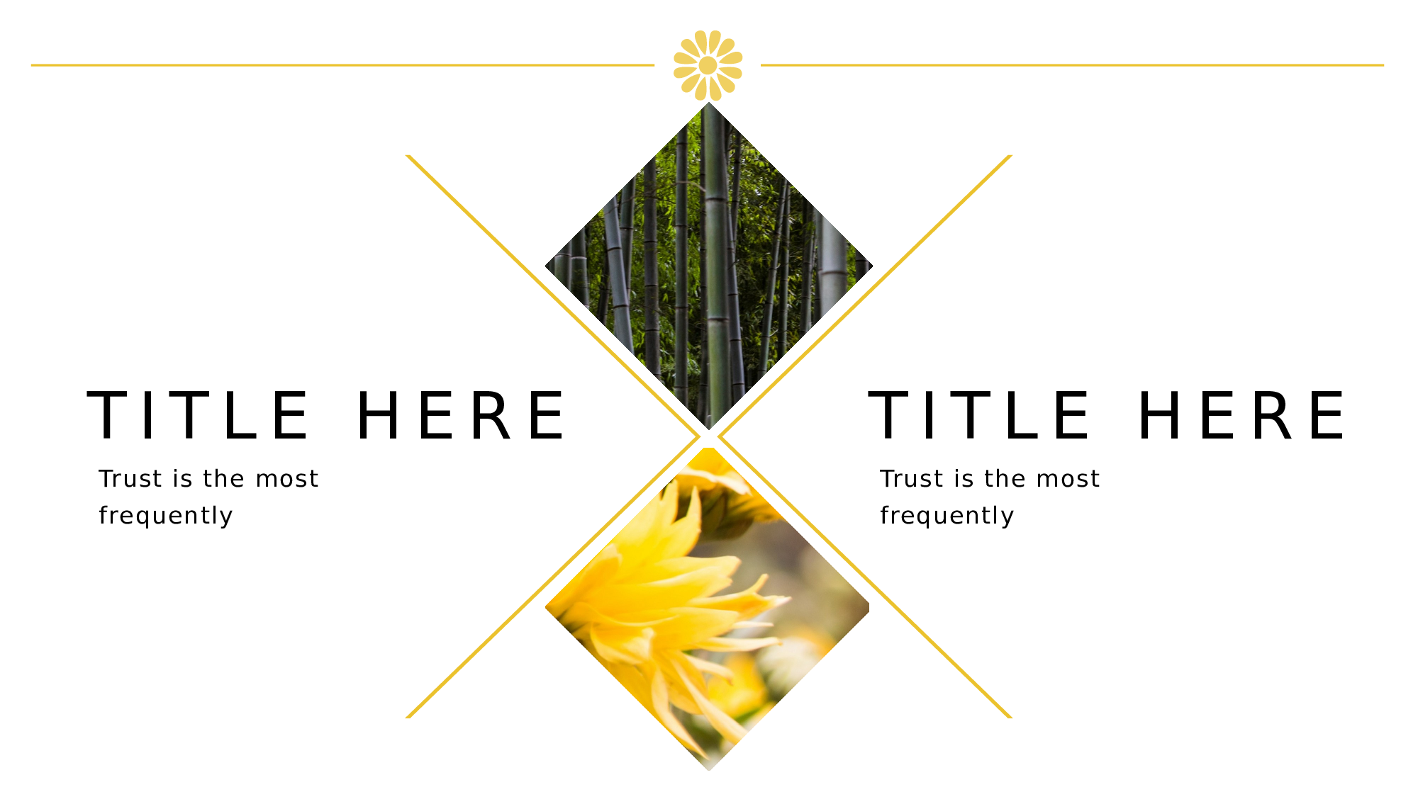 空灵风8525.pptx 第6页