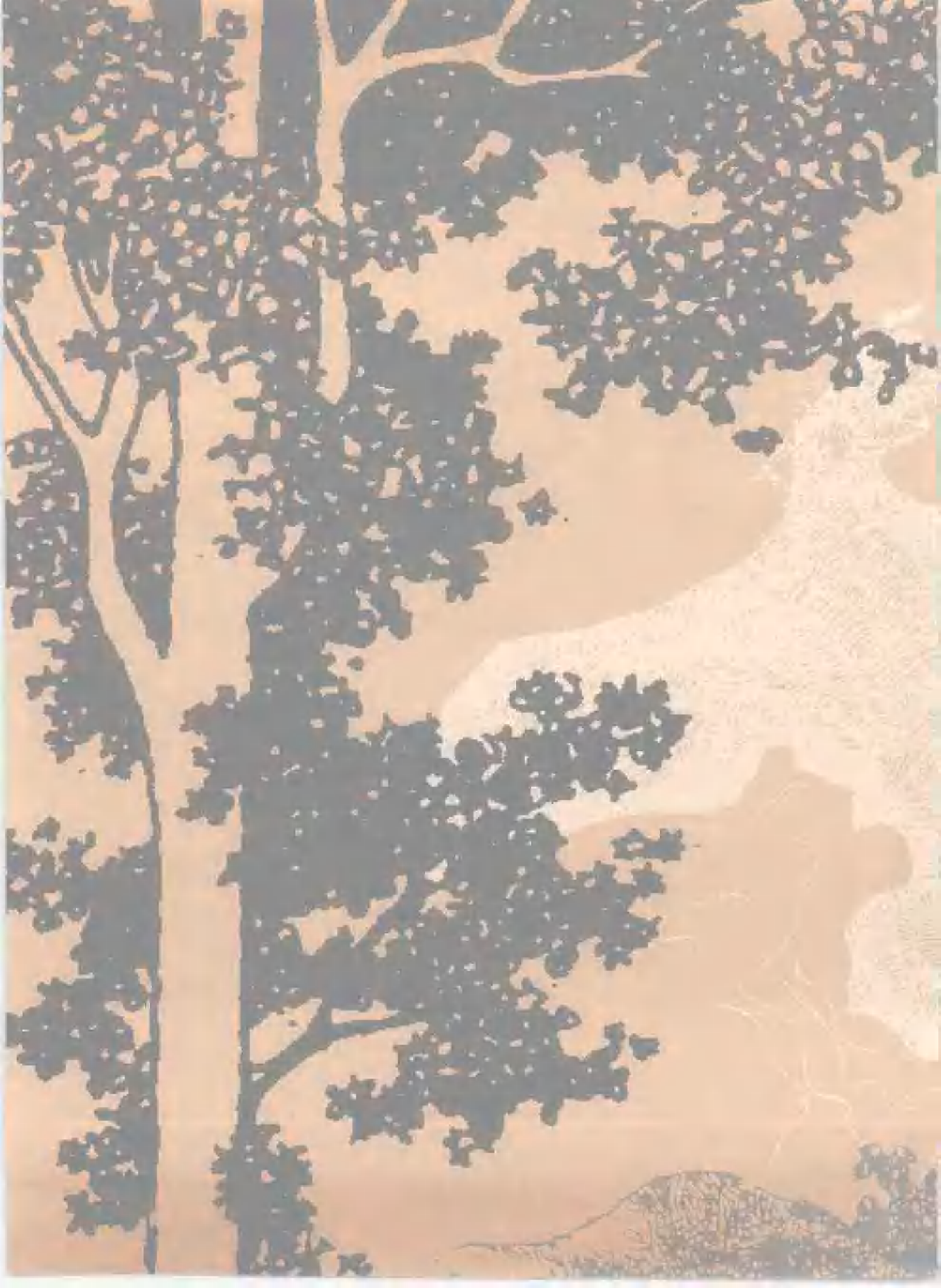 狼王梦.pdf 第5页