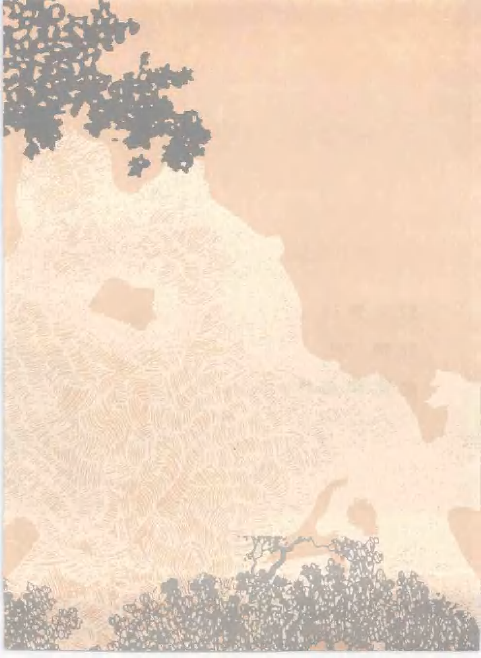 狼王梦.pdf 第6页