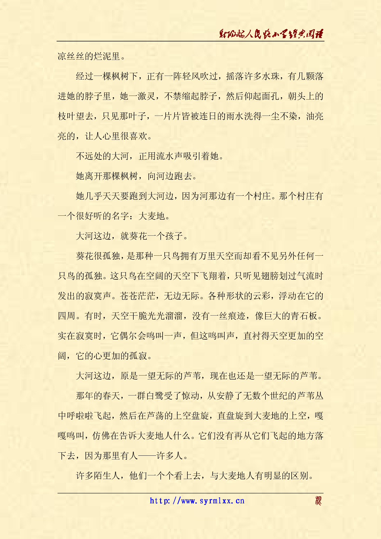 青铜葵花.pdf 第3页